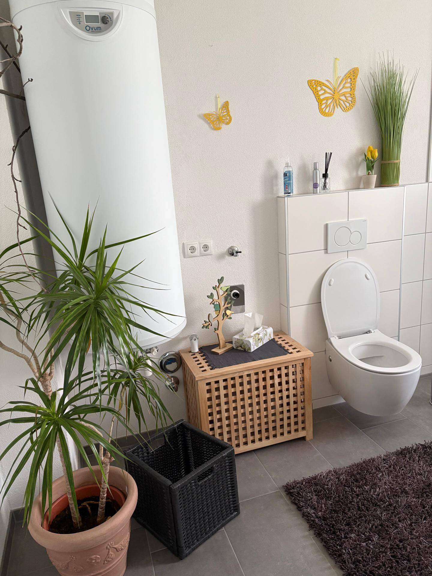 Toilettenbereich mit wandhängendem WC, einem großen Warmwasserspeicher und einer dekorativen Pflanze.