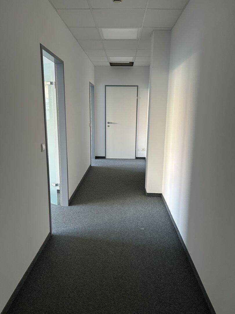 Slide 11