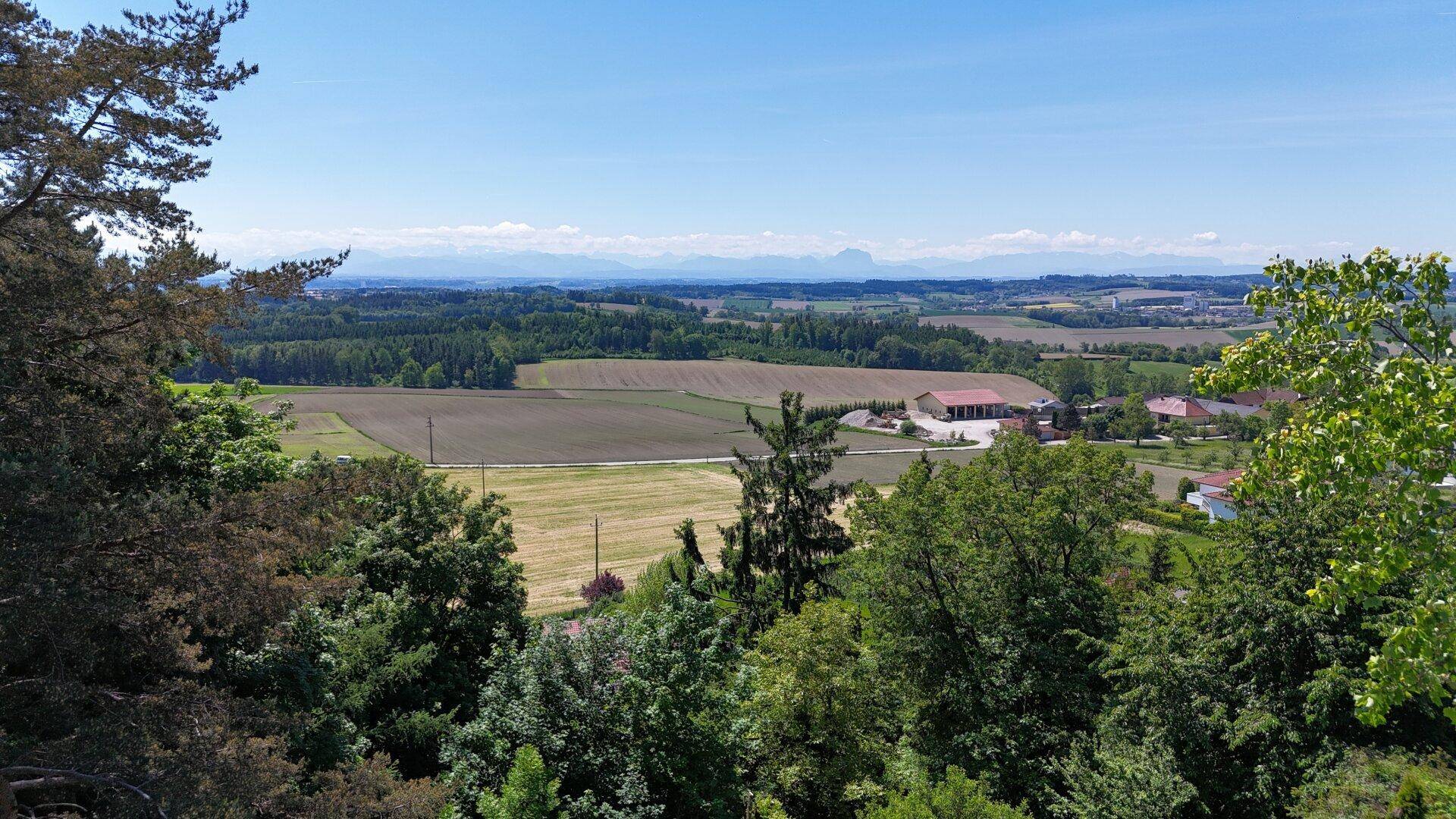 Panoramablick auf die umliegende Landschaft mit Feldern, Wäldern und einer fernen Bergkette unter klarem Himmel.