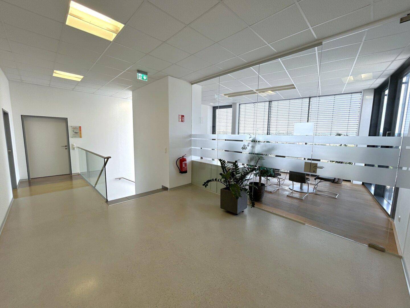 Moderner Flur im Obergeschoss mit Glaswänden, Pflanzen und Blick in weitere Büroräume.