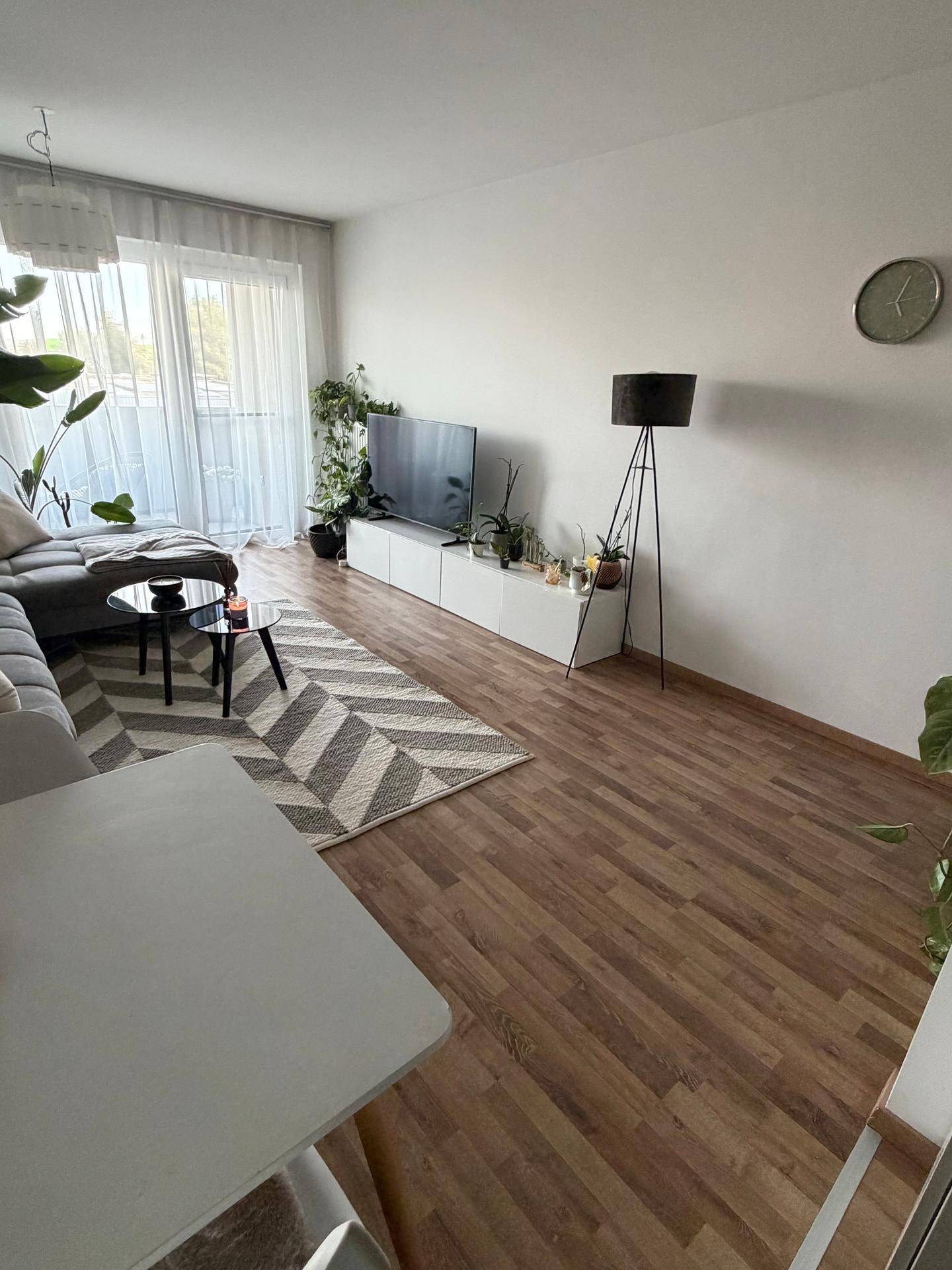 Heller Wohnbereich mit TV-Möbeln, bequemer Couch und großen Fenstern mit Vorhängen.