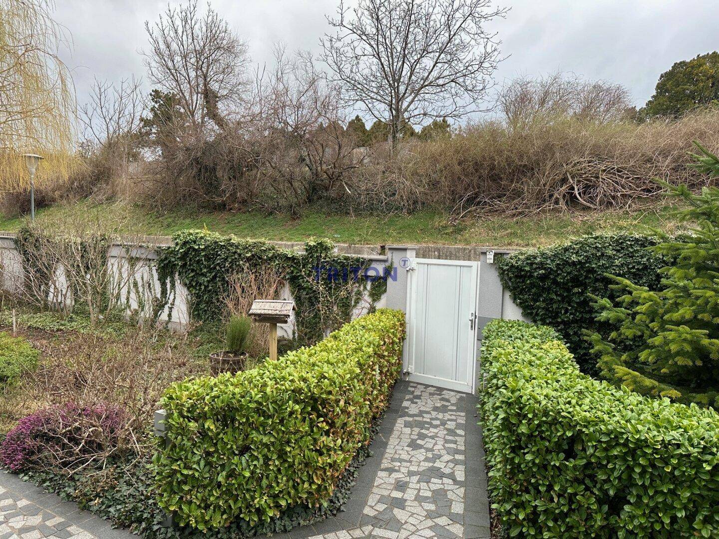 Gepflasterter Gartenweg zwischen hohen Hecken führt zu einem weißen Gartentor.
