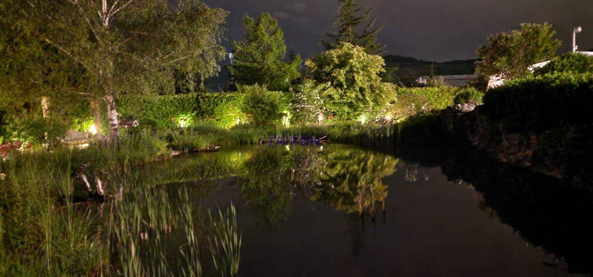 Der Gartenteich und die umliegende Bepflanzung sind nachts stimmungsvoll beleuchtet.