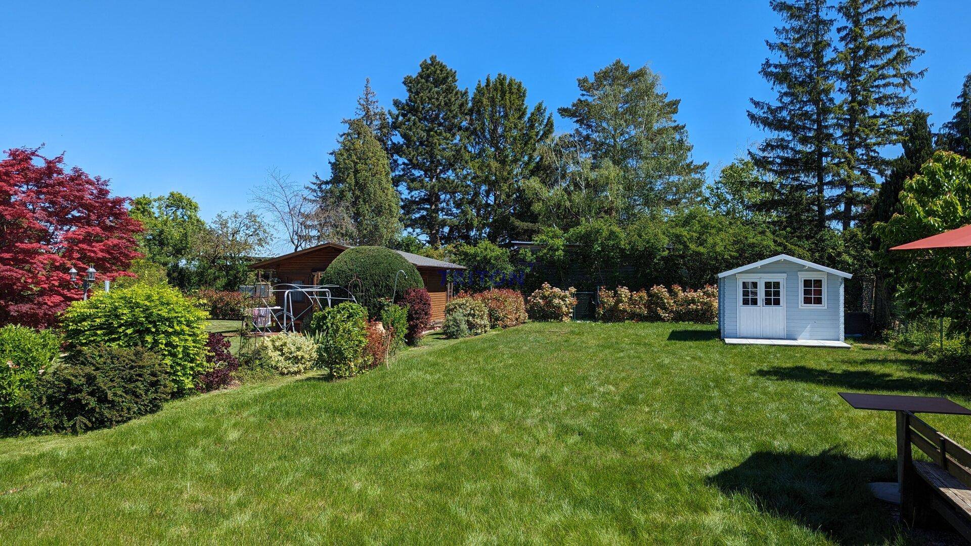 Sonniger Garten mit gepflegtem Rasen, einem hellblauen Gartenhaus und vielfältiger Bepflanzung.