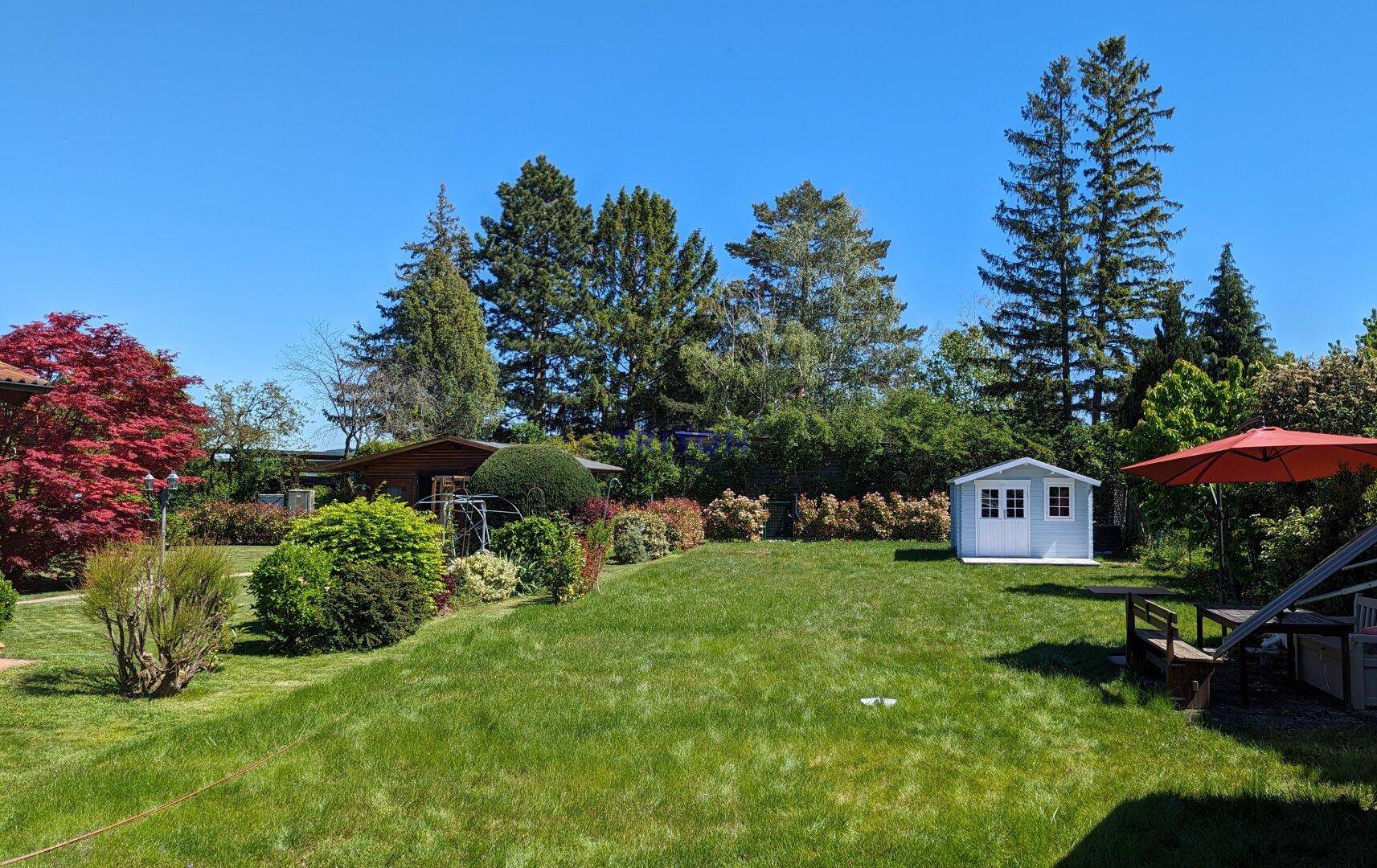 Heller Garten mit Rasenfläche, Gartenhaus und einem roten Sonnenschirm, umgeben von Bäumen.