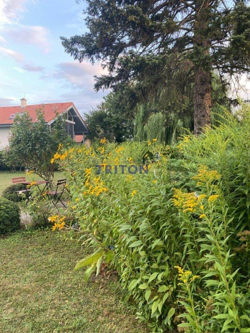 Blühende Pflanzen im Garten mit Blick auf ein weiteres Gebäude und Sitzgelegenheiten im Hintergrund.