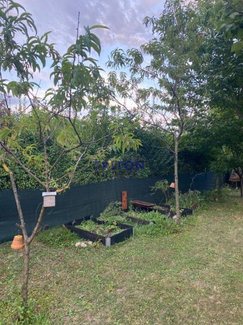 Gartenbereich mit Hochbeeten und jungen Obstbäumen, umgeben von viel Grün und einem Zaun.