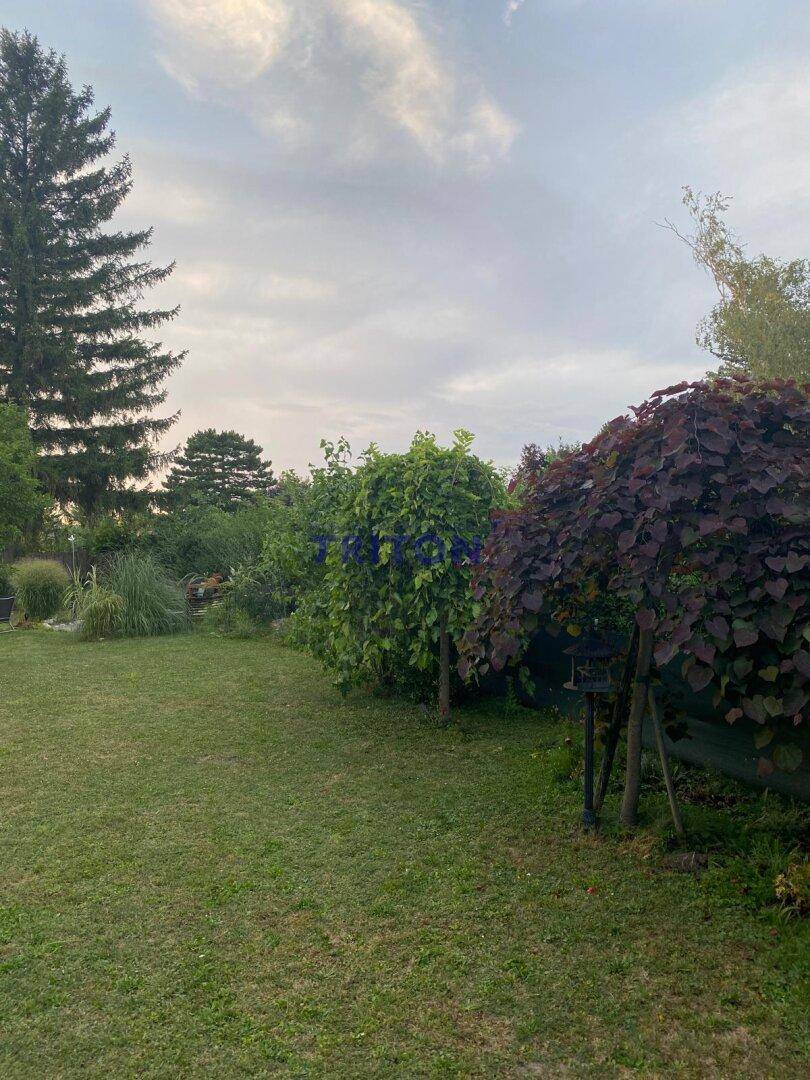 Weitläufiger Garten mit Rasenfläche und verschiedenen Zierbäumen unter bewölktem Himmel.