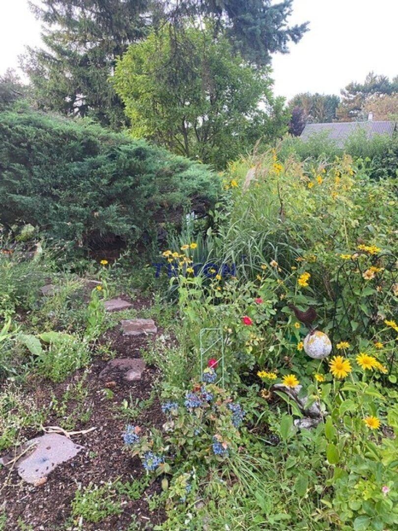 Naturbelassener Gartenweg umgeben von üppigen Blumenbeeten und Sträuchern mit gelben Blüten.