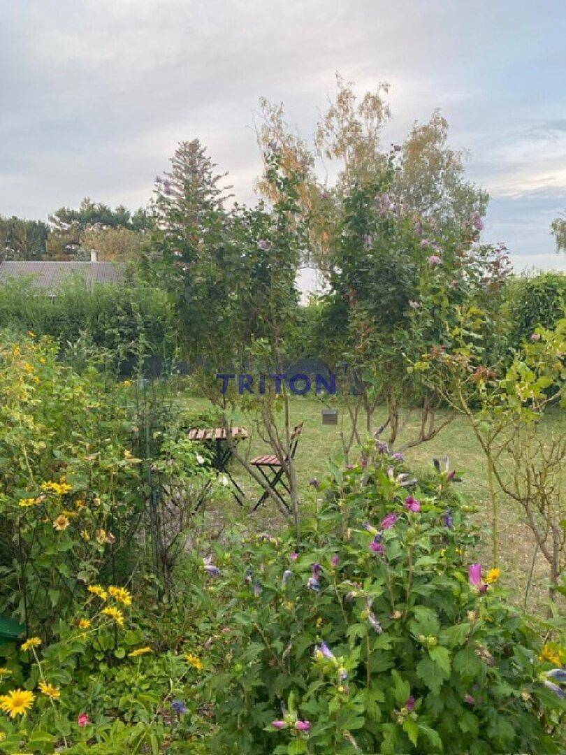 Farbenfroher Garten mit blühenden Sträuchern und einem kleinen Tisch mit Stühlen im Hintergrund.