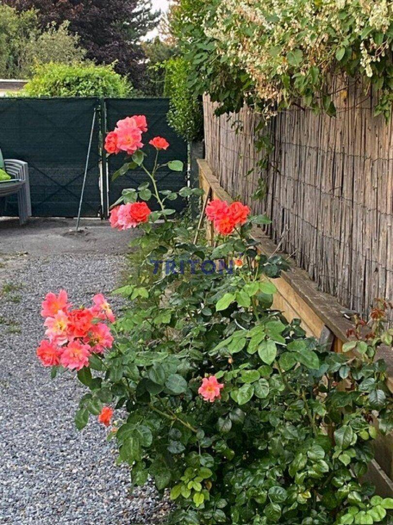 Vielfältiger Gartenbereich mit verschiedenen Pflanzen, Töpfen und einem großen Baumstamm.