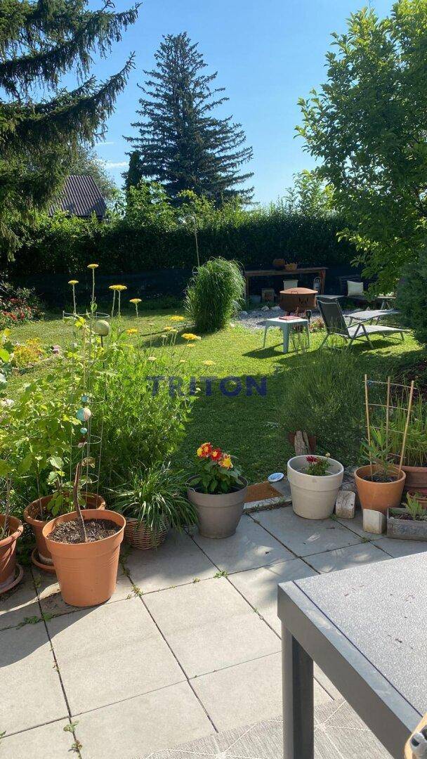 Sonniger Garten mit gepflasterter Terrasse, grüner Rasenfläche und vielfältiger Bepflanzung, ideal zum Entspannen im Freien.