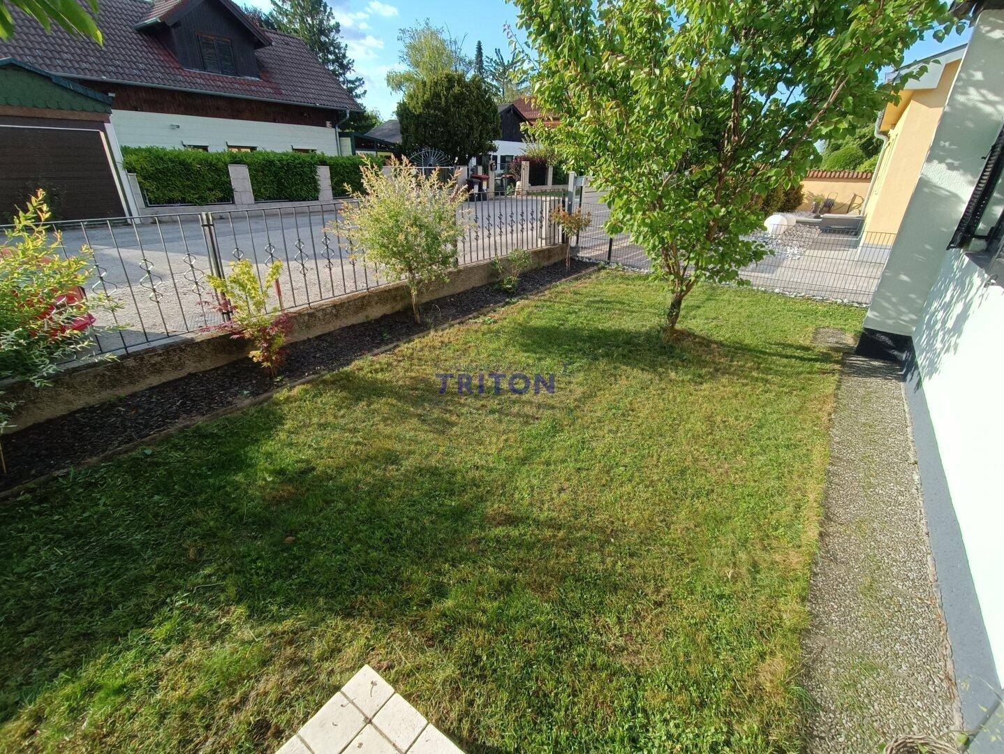 Kleiner, gepflegter Gartenbereich mit Rasenfläche und jungen Bäumen.
