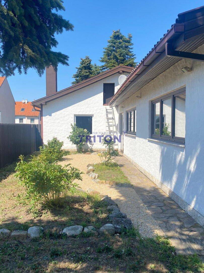 Kleiner Gartenbereich an der Hausseite mit Kiesweg, Sträuchern und einer Leiter an der Fassade.