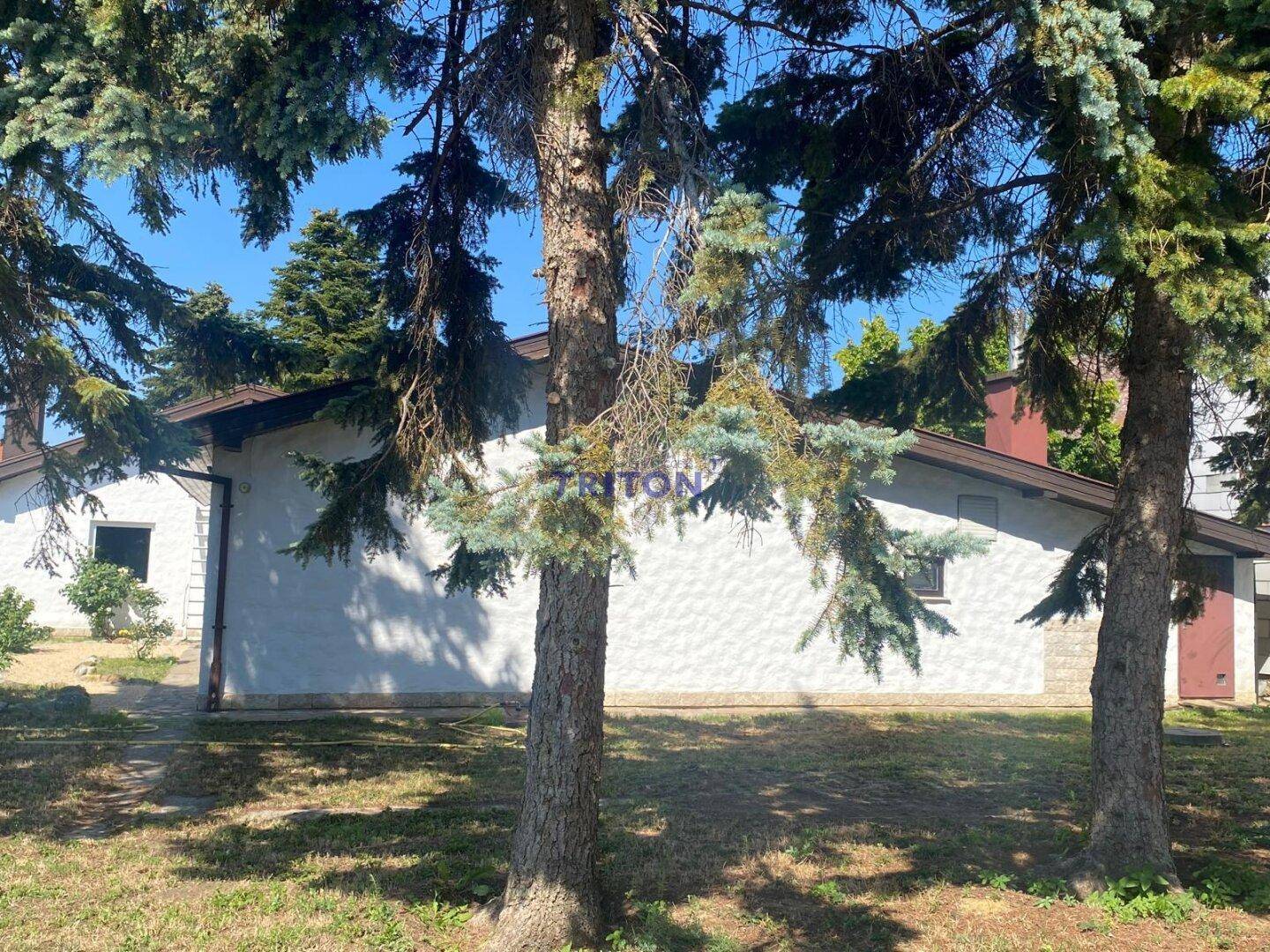 Seitenansicht des Hauses, teilweise von großen Nadelbäumen verdeckt, mit weißer Fassade und grüner Umgebung.