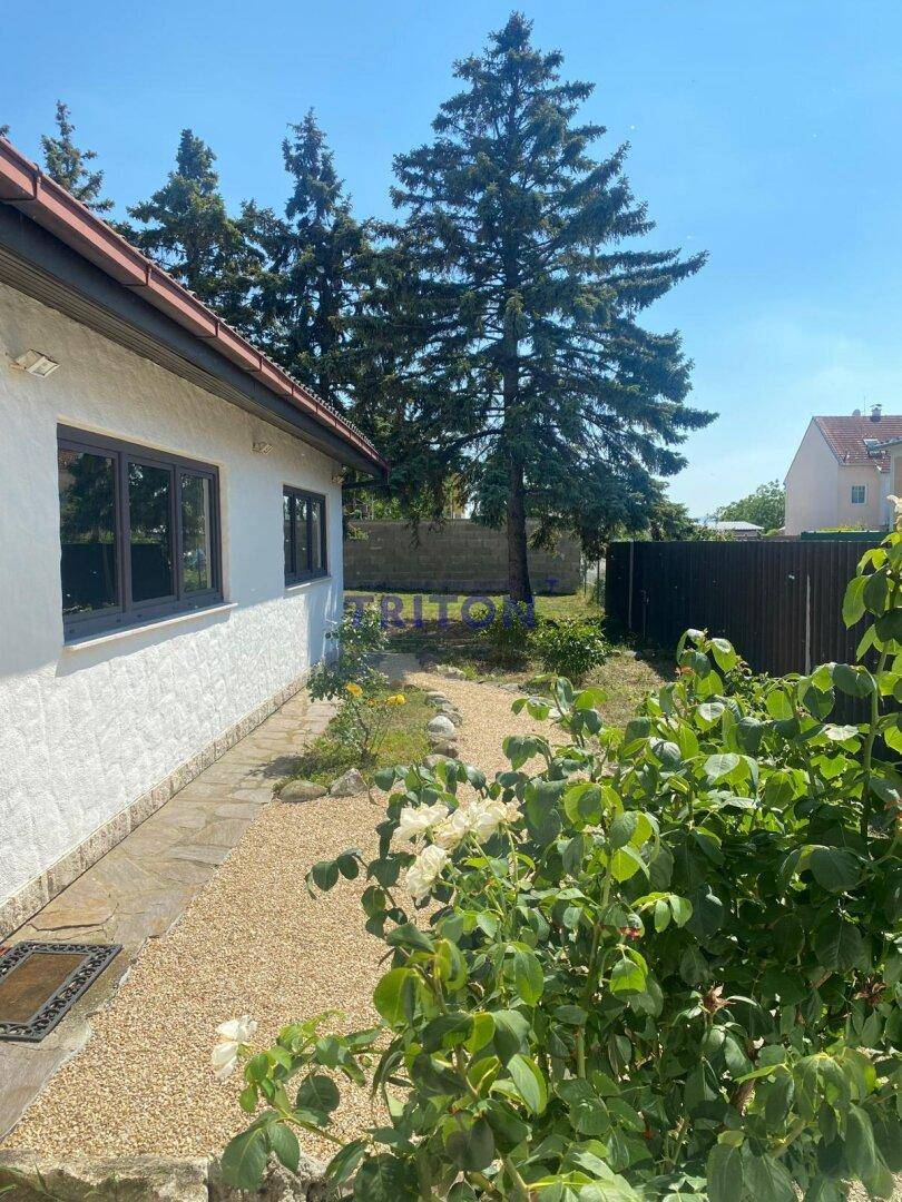 Gartenbereich entlang der Hausseite mit Kiesweg und blühenden Sträuchern unter einem klaren Himmel.