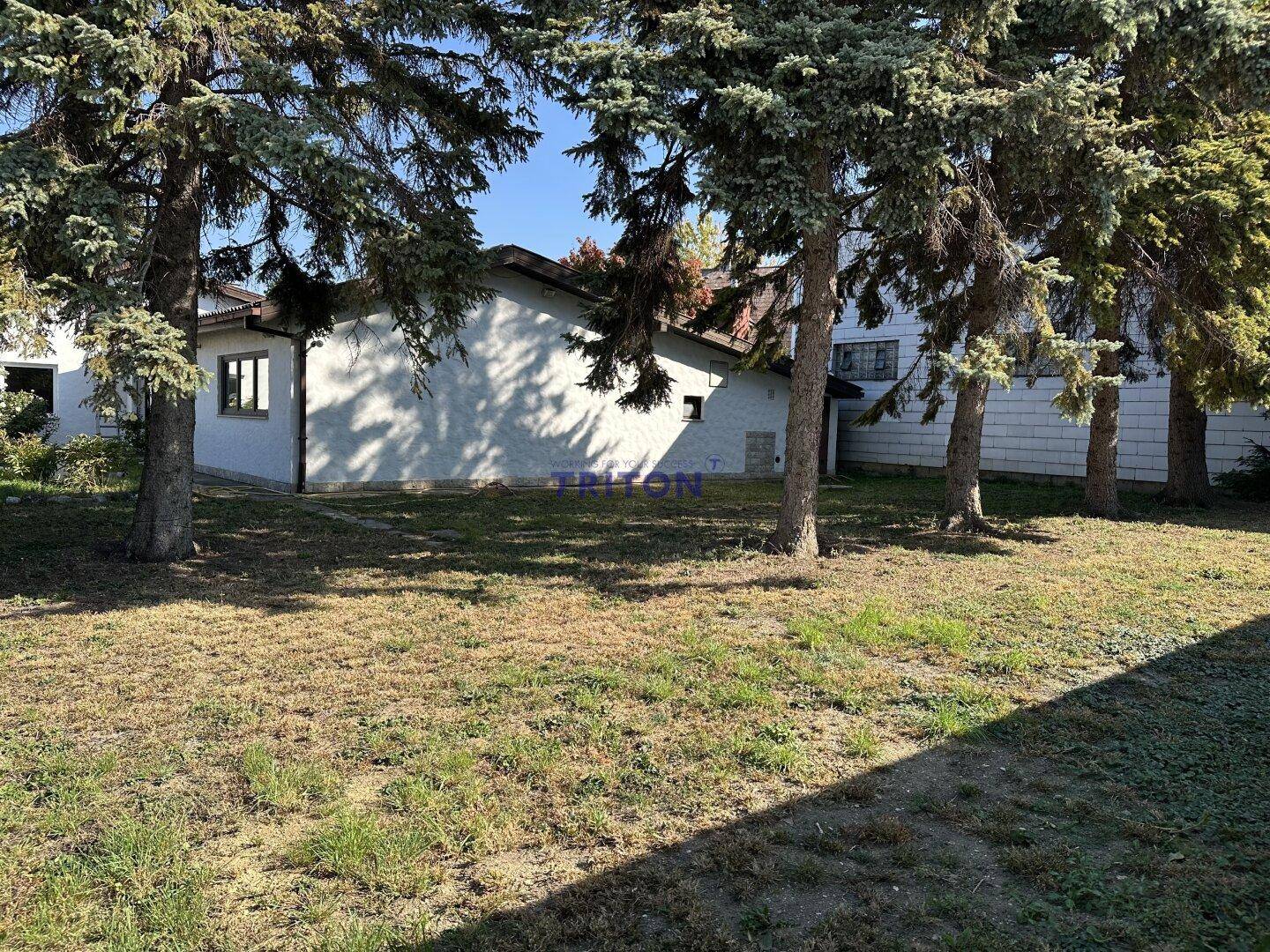 Gartenansicht mit Bäumen und dem Haus im Hintergrund an einem sonnigen Tag.