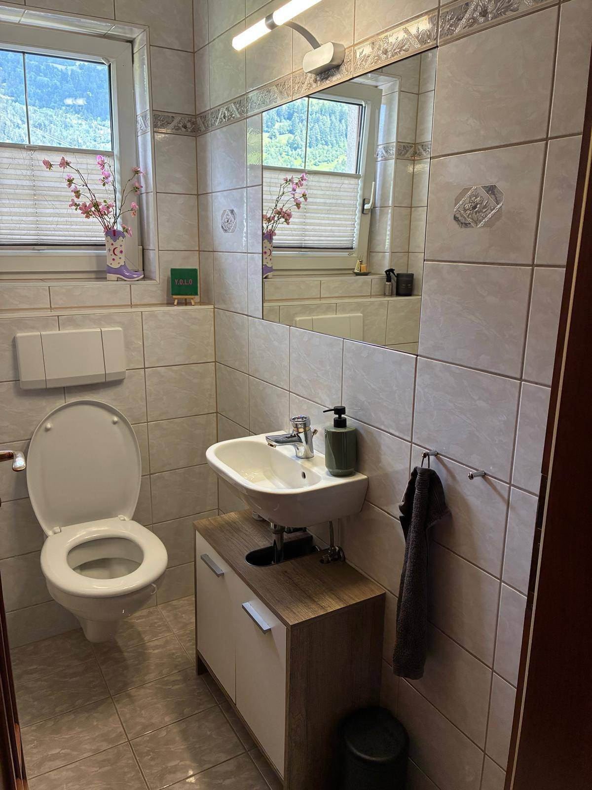 Separates WC mit Toilette, kleinem Waschbecken und einem Fenster mit Bergblick.