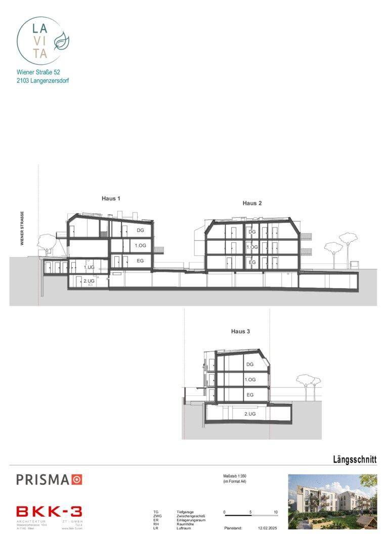 Slide 11