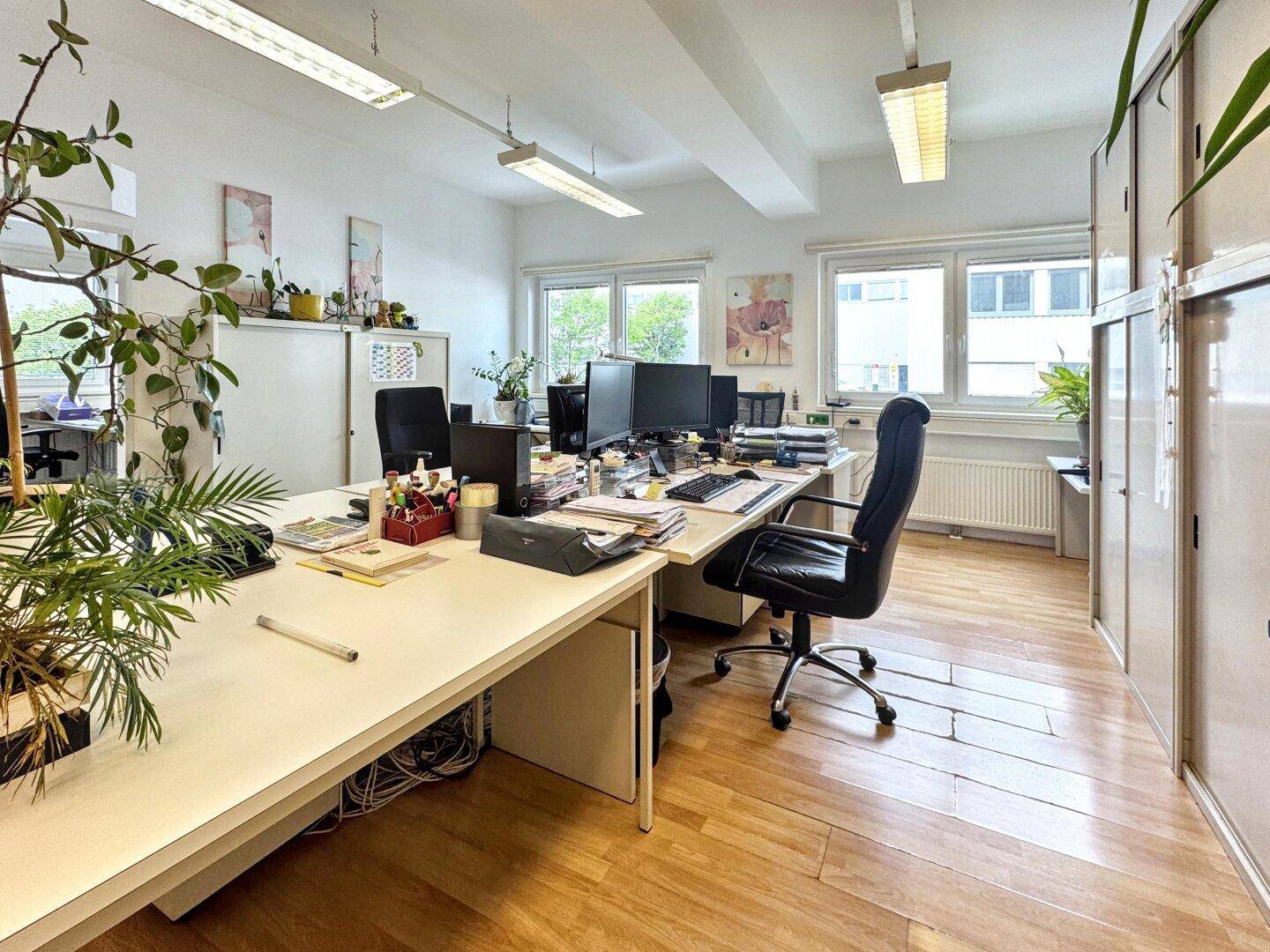 Geräumiges Büro mit mehreren Arbeitsplätzen, Pflanzen und großen Fenstern für viel Tageslicht.