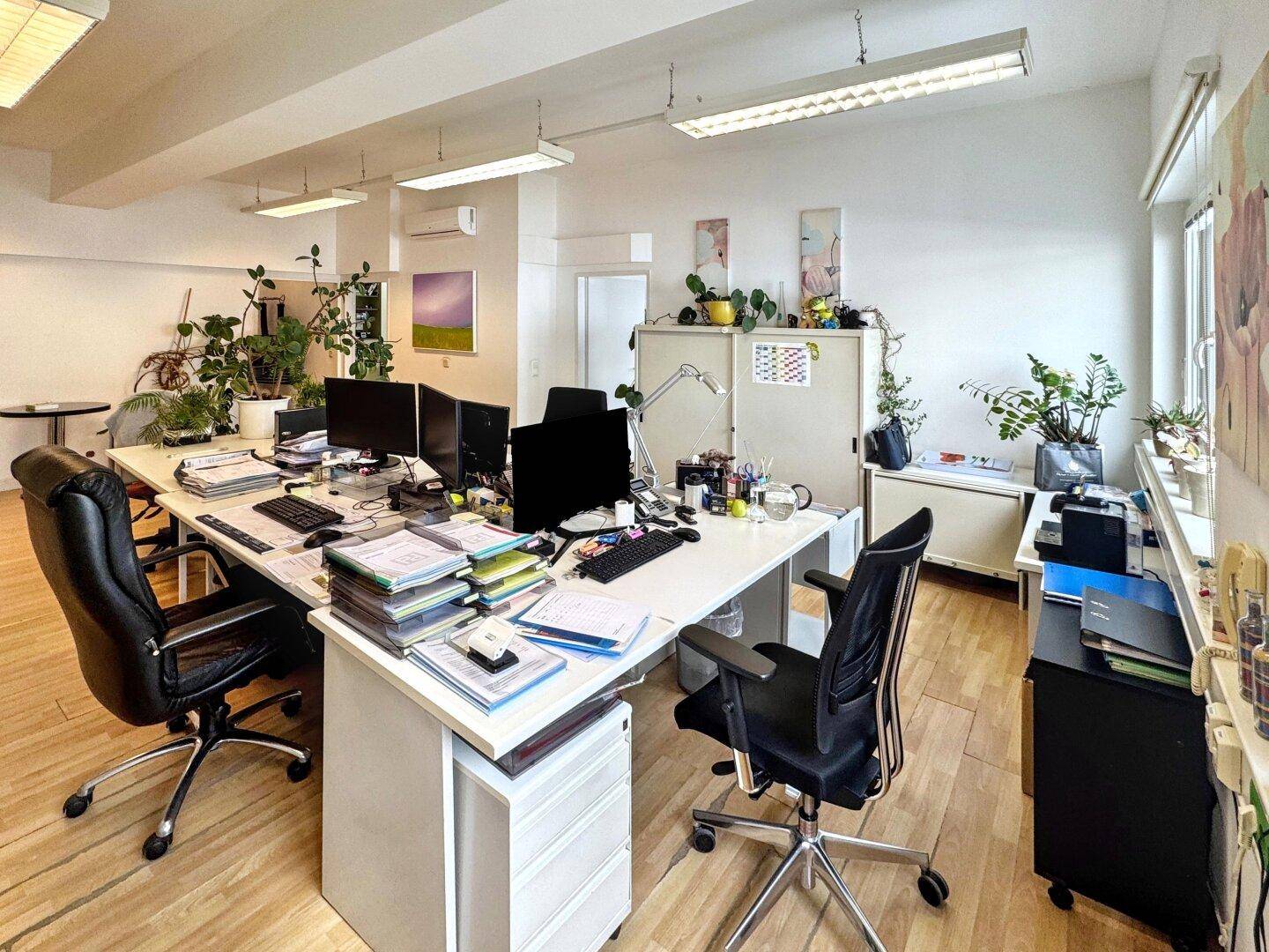 Offener Bürobereich mit mehreren Arbeitsplätzen, Pflanzen und Deckenleuchten.