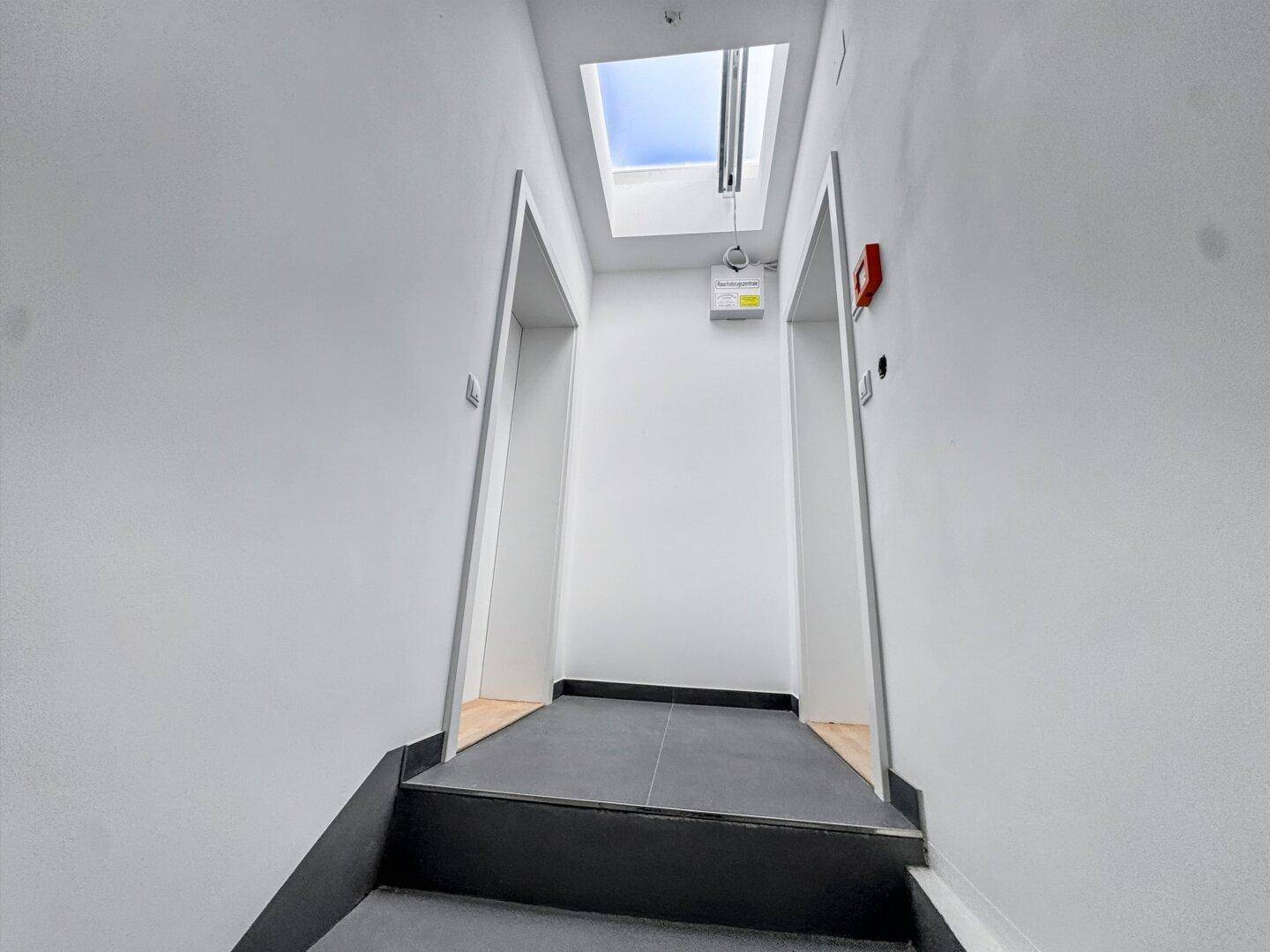 Heller Treppenaufgang mit modernem Design, dunklen Stufen und einem Oberlicht für natürliches Licht.