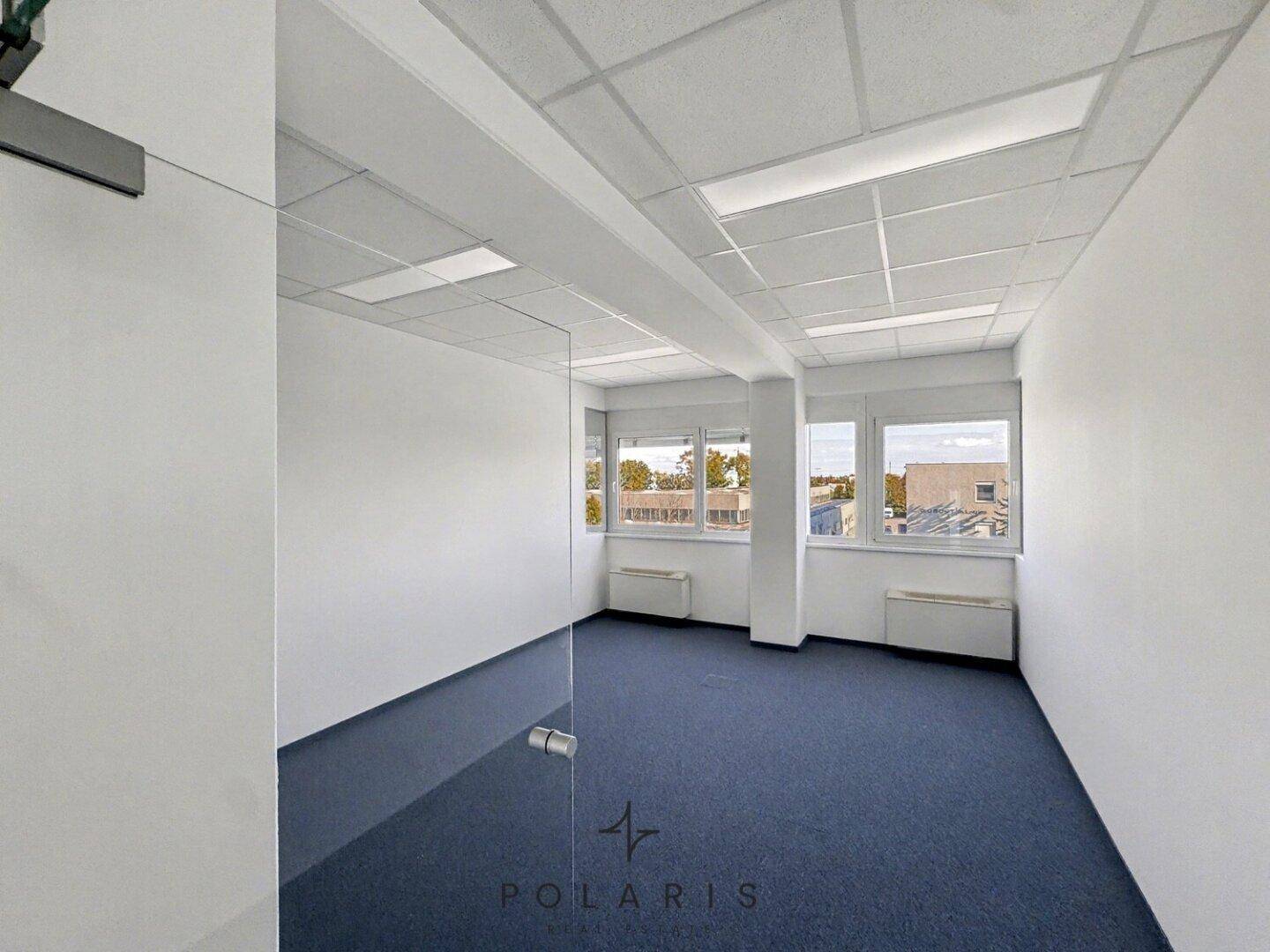 Leeres Büro mit blauem Teppichboden, großen Fenstern und Glaswand, ideal für Einzelbüros.