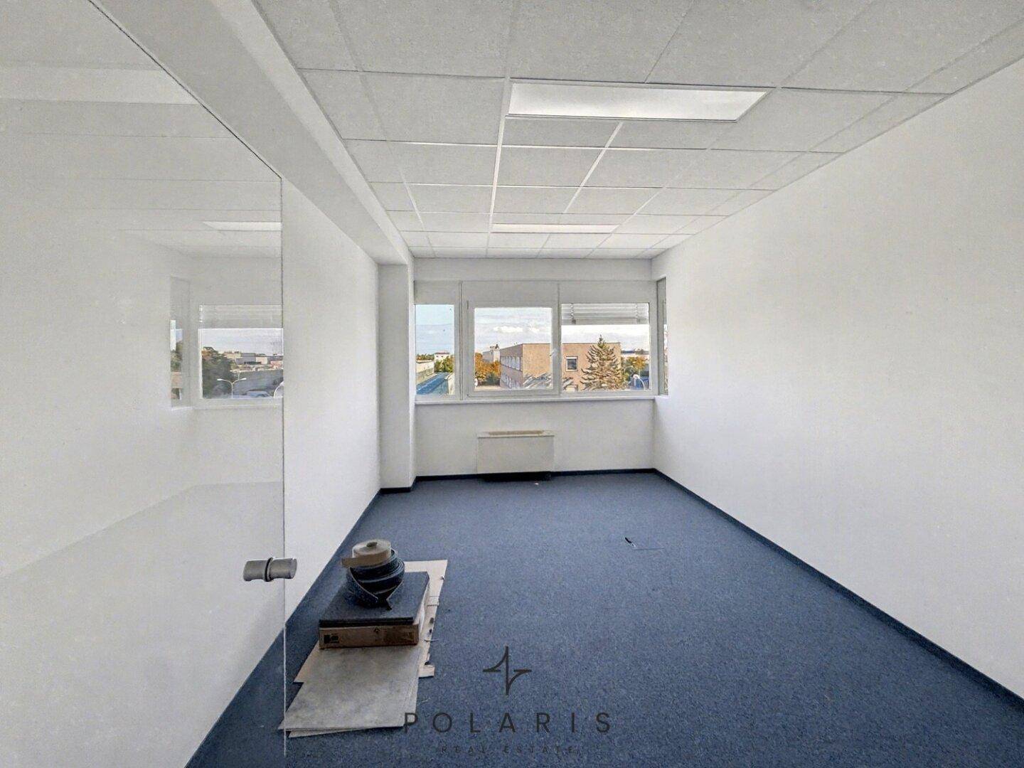 Helles Büro mit blauem Teppichboden und Fenstern, bietet eine angenehme Arbeitsatmosphäre.
