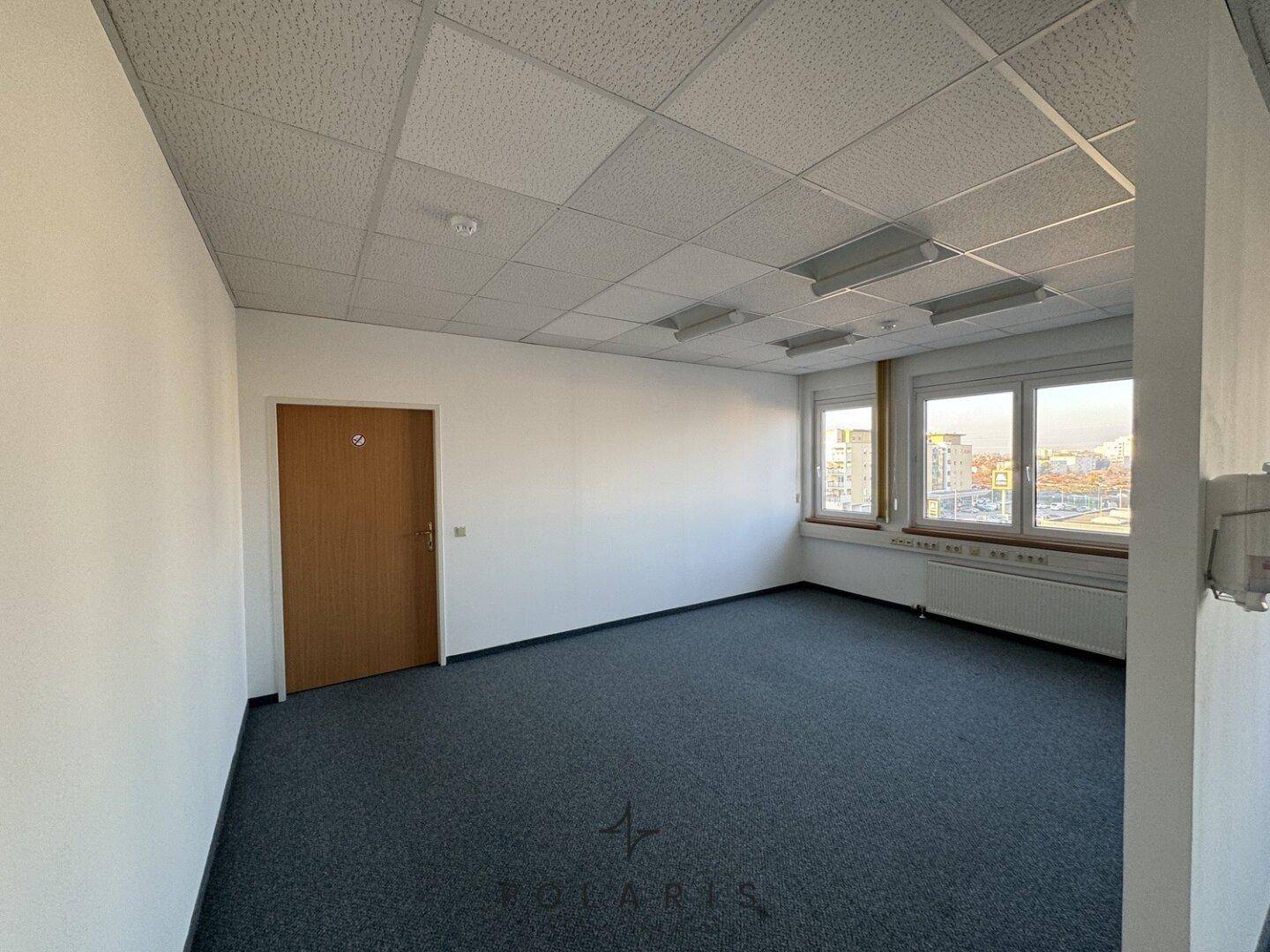 Helles Büro mit Teppichboden, einer Holztür und Fenstern, die viel Tageslicht hereinlassen.