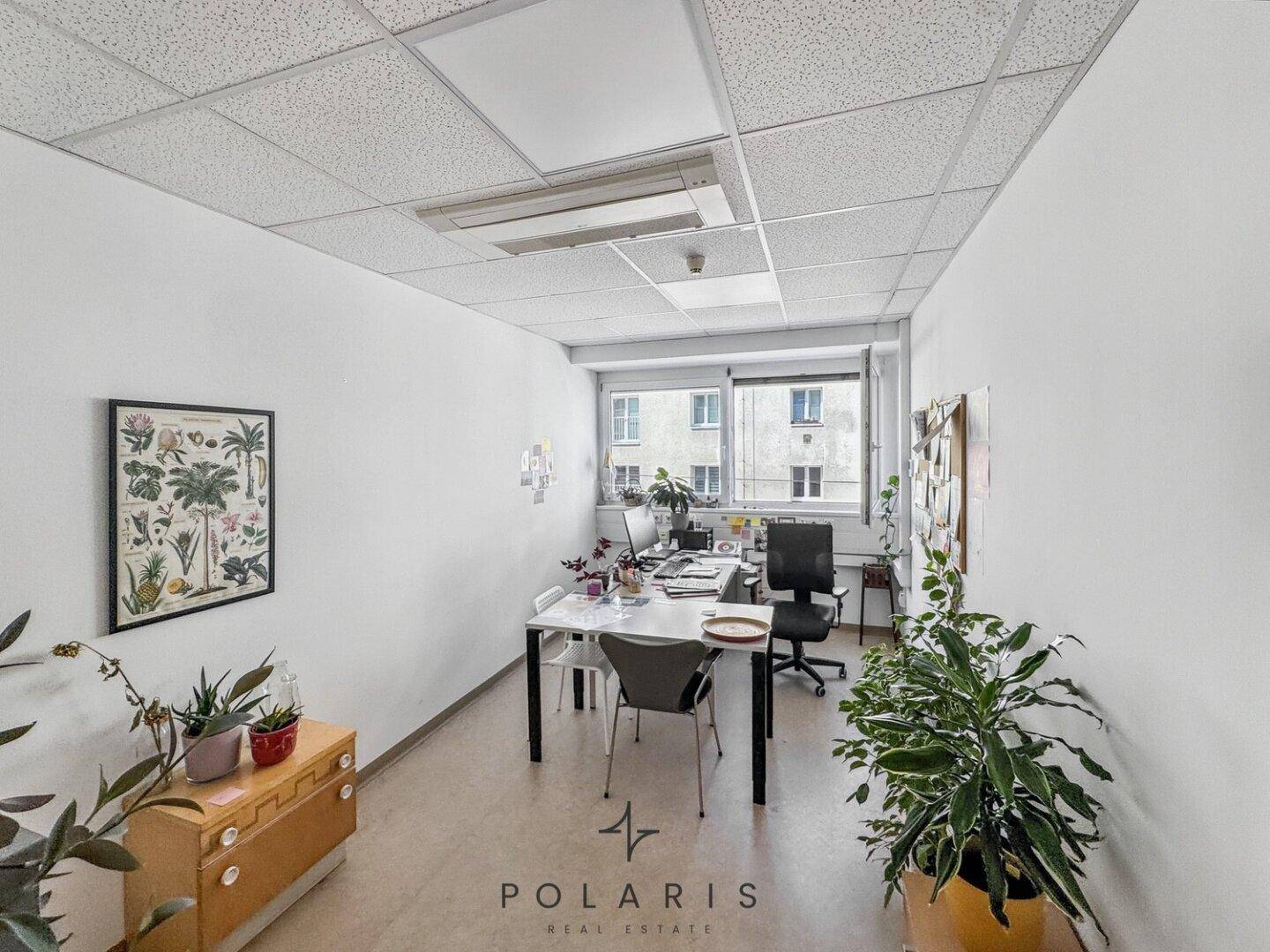 Einzelbüro mit Schreibtisch, Bürostuhl und Pflanzen, das viel natürliches Licht erhält.