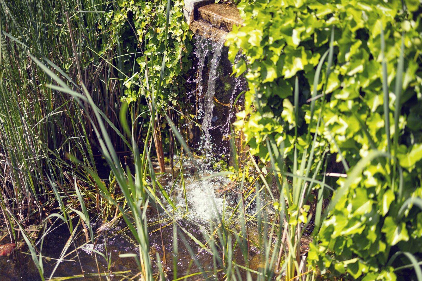 Nahaufnahme eines kleinen Wasserfalls, der in einen Teich mündet, umgeben von grünen Pflanzen.