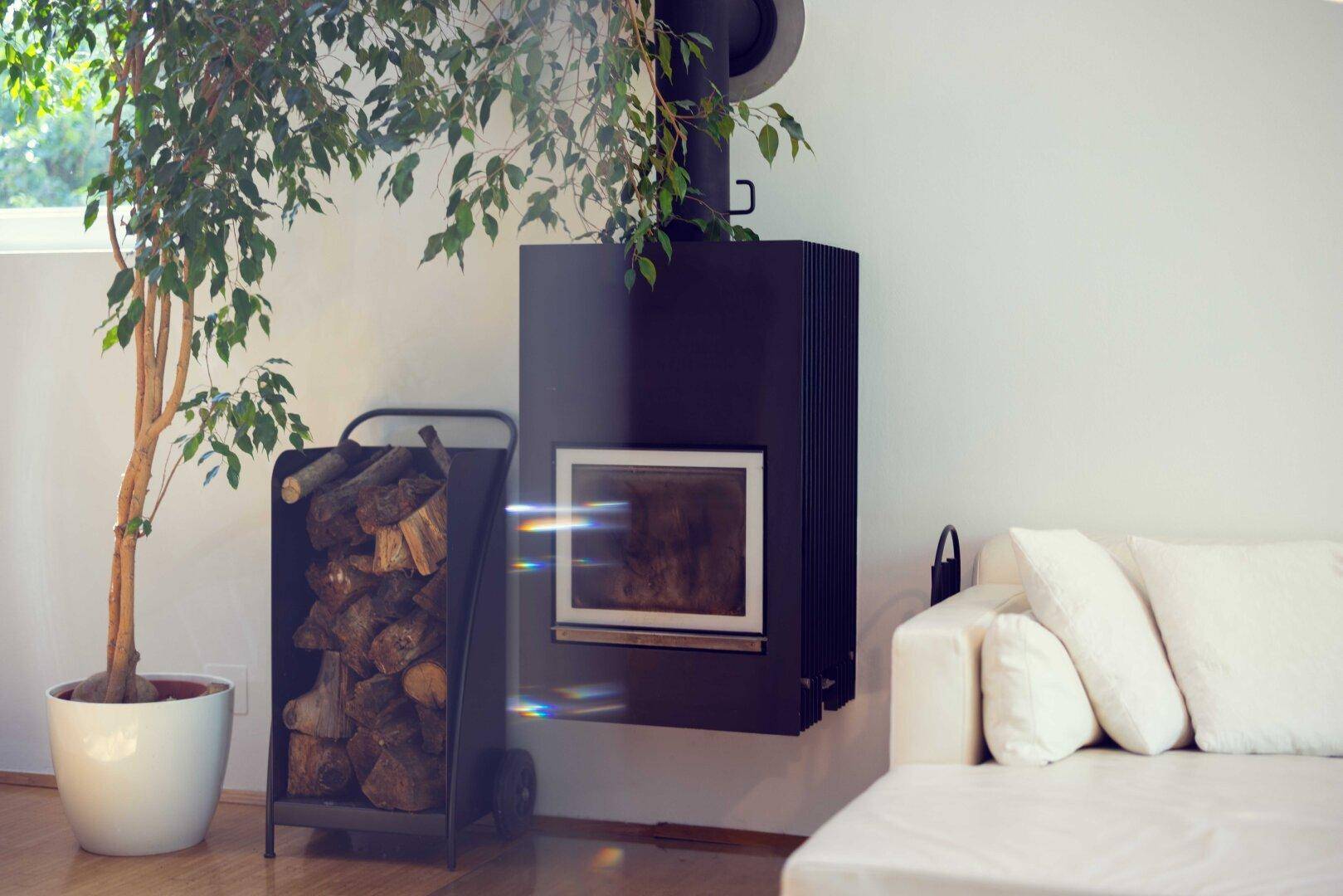 Gemütliches Wohnzimmer mit modernem Kaminofen, Holzscheitlager und großer Zimmerpflanze.