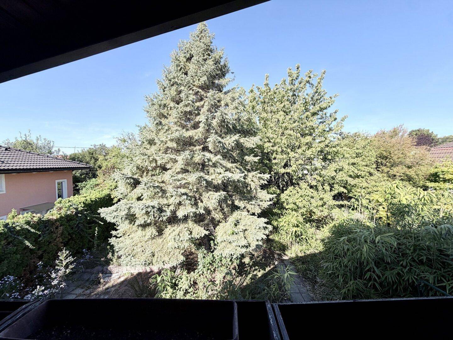 Weitläufiger Blick vom Balkon ins Grüne mit hohen Bäumen und umliegenden Häusern.