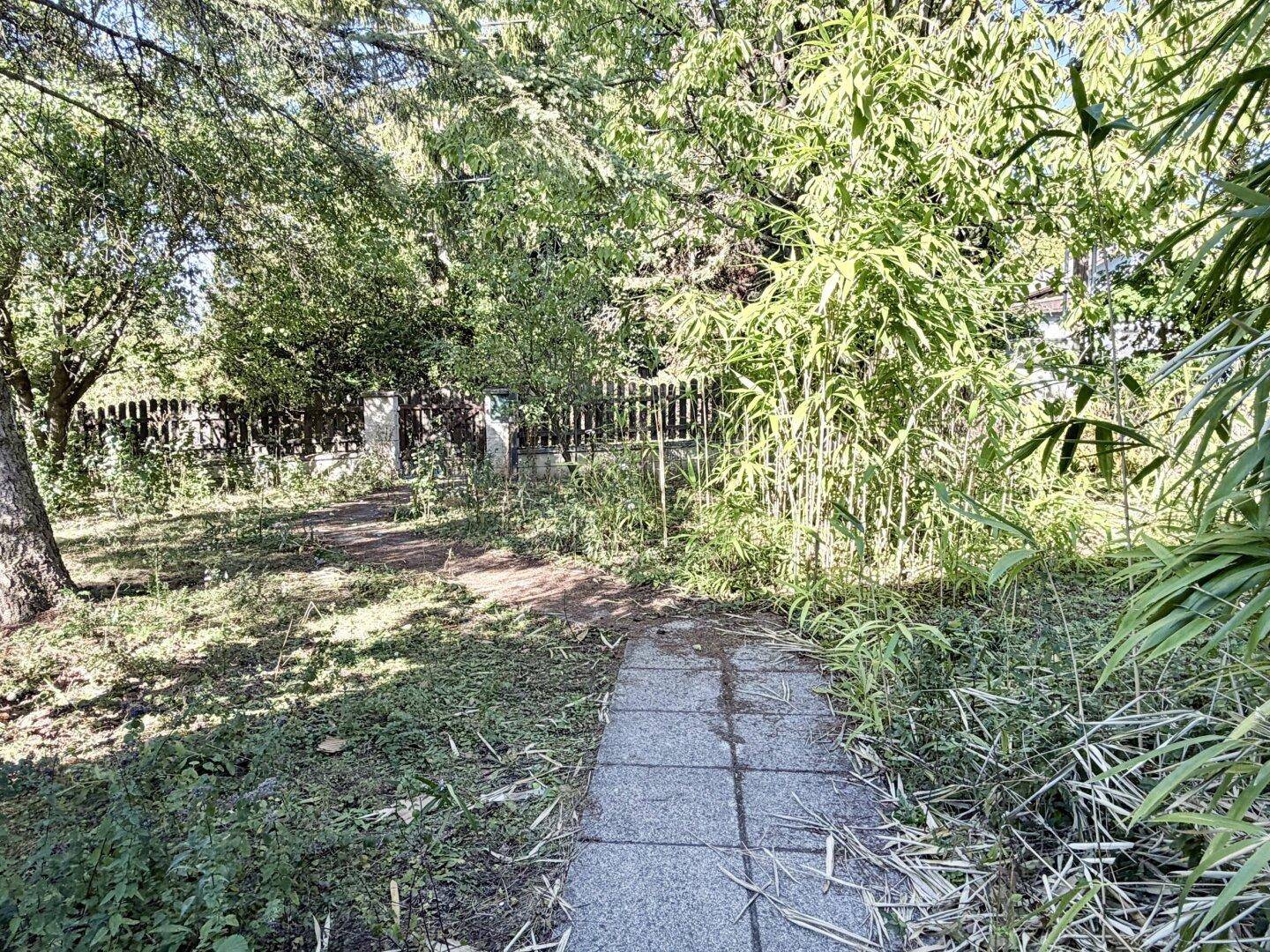 Gartenweg führt durch das grüne Grundstück mit Bäumen und Sträuchern.