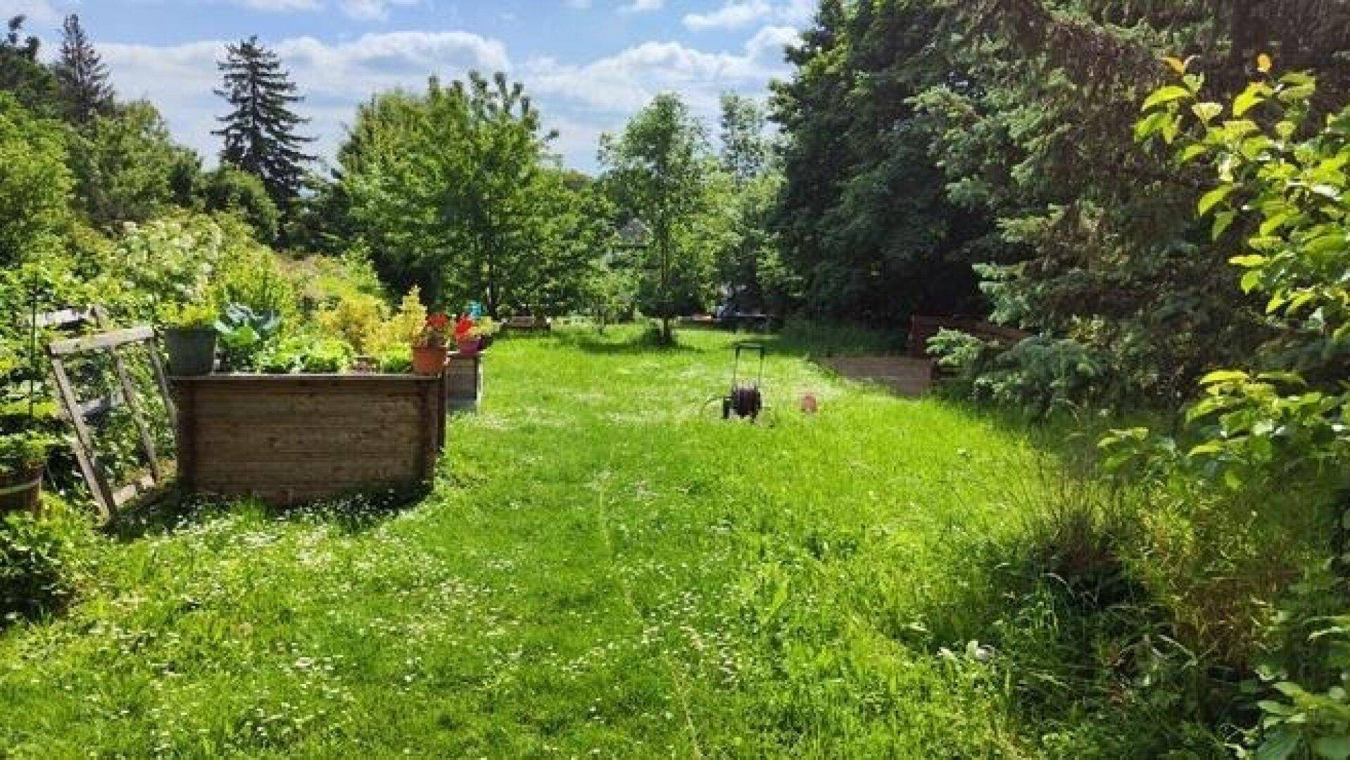 Große, sonnige Rasenfläche im Garten mit Hochbeet und umgebenden Bäumen.