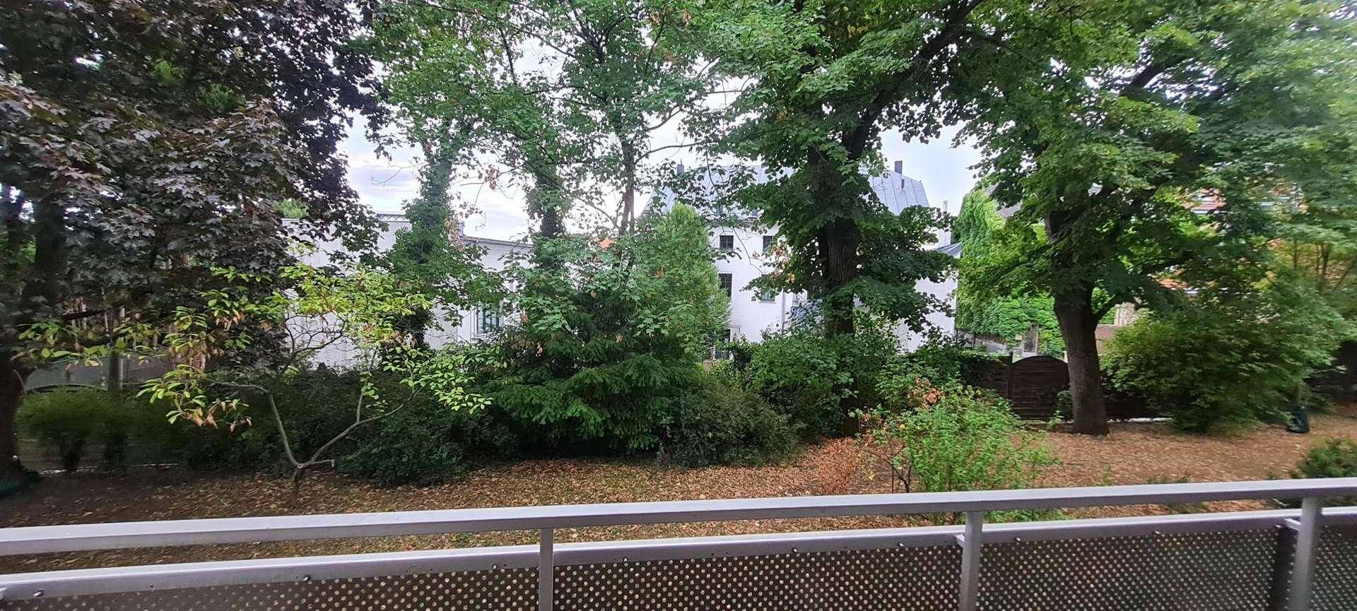 Weitläufiger Blick ins Grüne mit vielen Bäumen und Sträuchern von einem Balkon aus.
