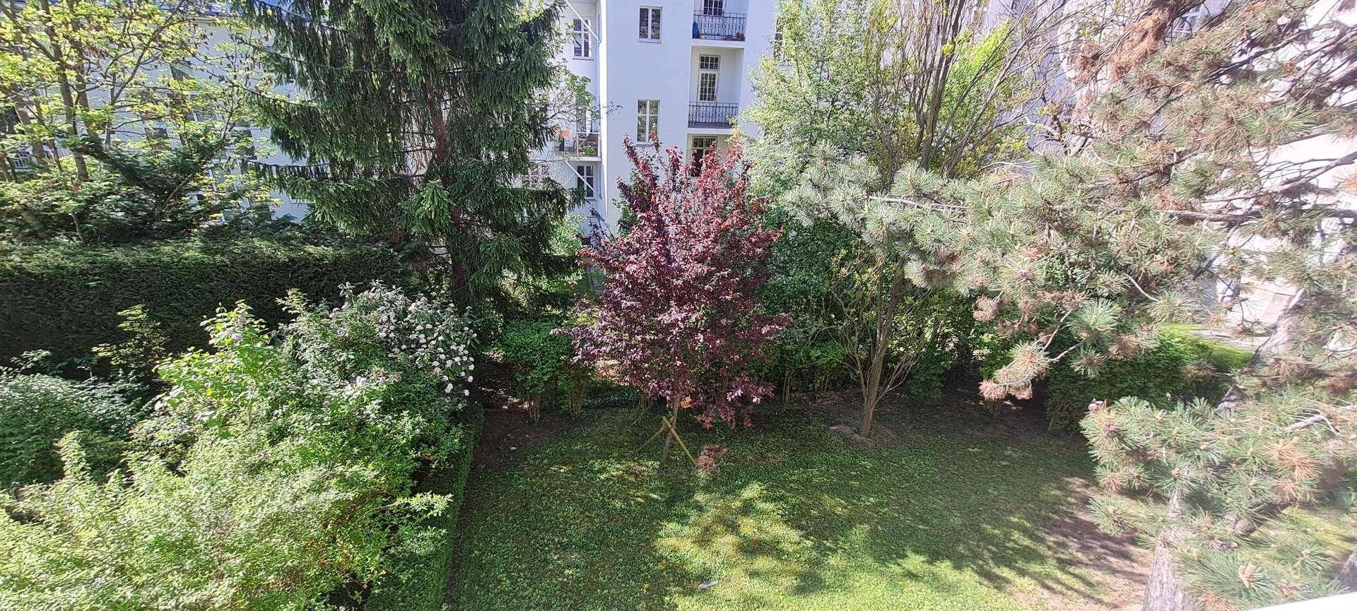 Gepflegter Gartenbereich mit Rasenfläche und verschiedenen Bäumen, umgeben von Hecken.