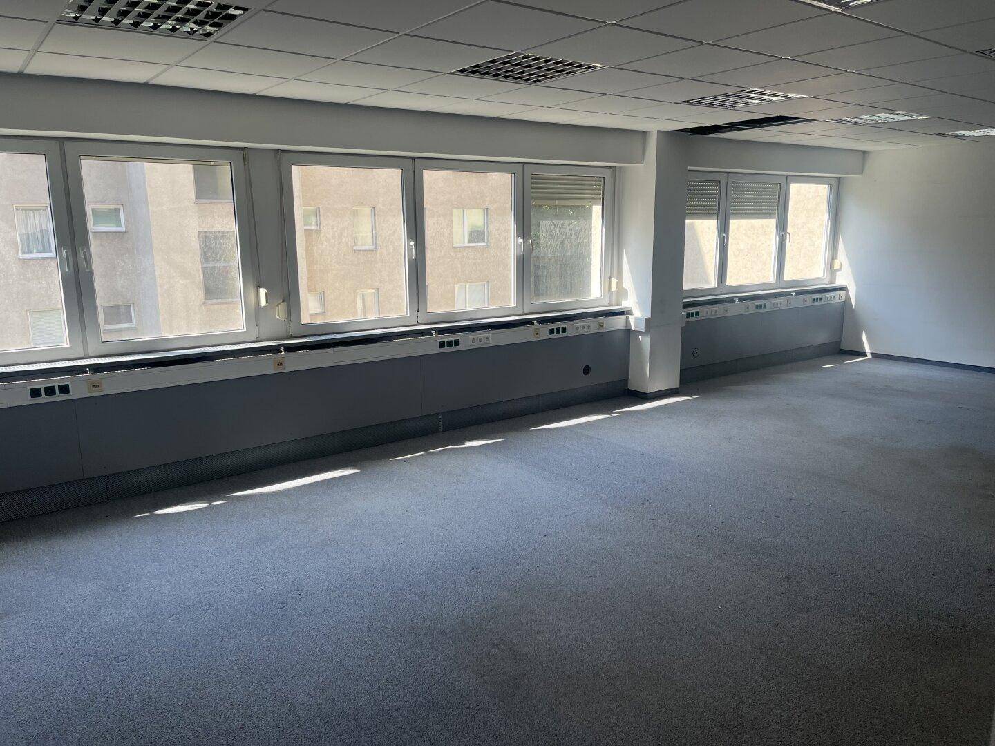 Geräumiges Büro mit Teppichboden, großen Fenstern und viel Tageslicht, ideal für Arbeitsplätze.