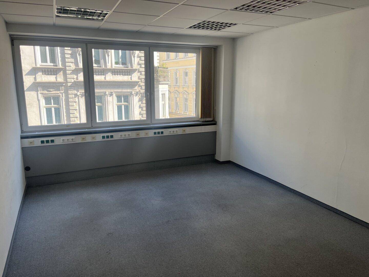 Leeres Büro mit Teppichboden, großen Fenstern und abgehängter Decke mit integrierter Beleuchtung.
