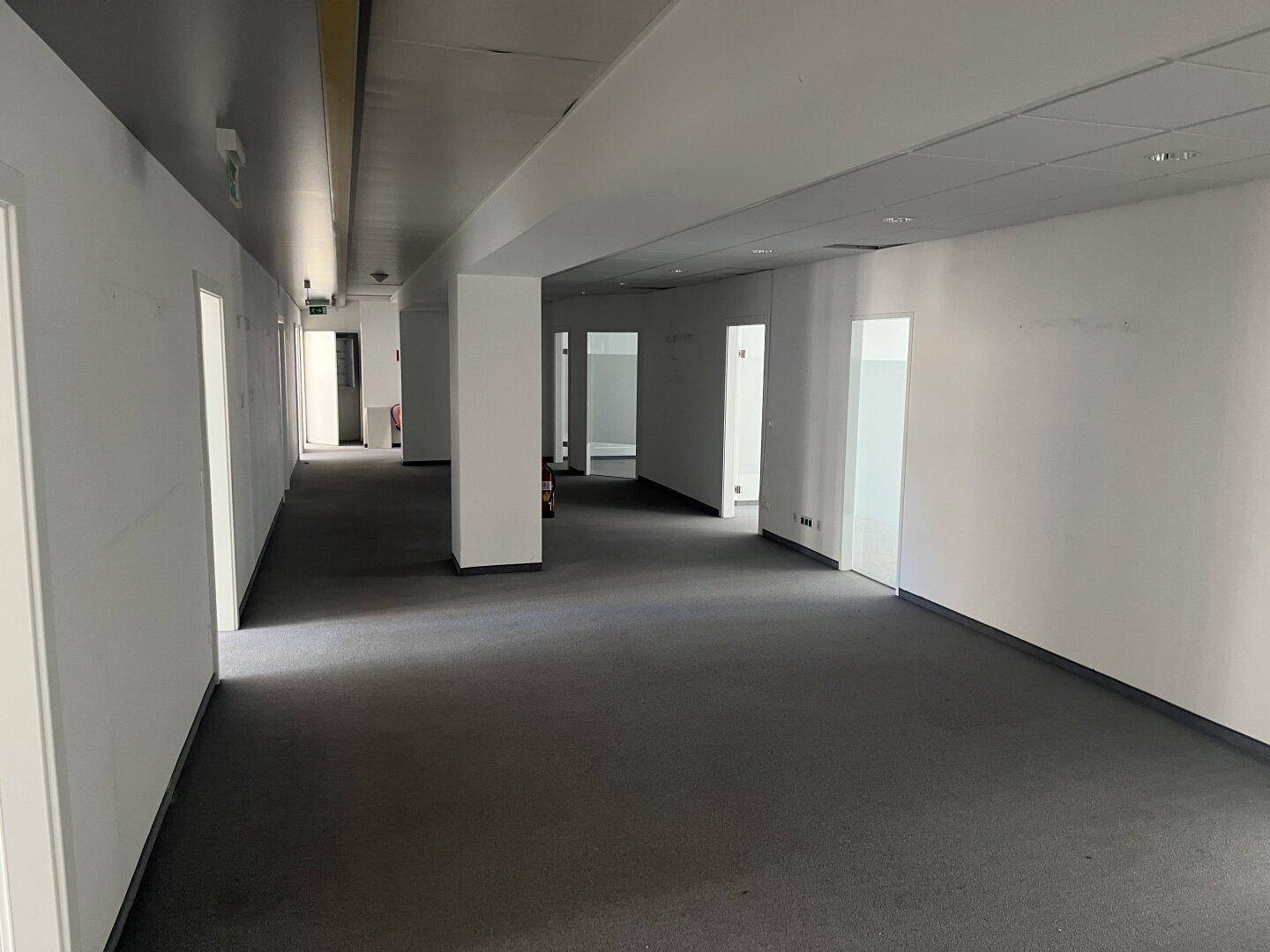 Langer Bürogang mit Teppichboden, weißen Wänden und mehreren Türen zu einzelnen Büroräumen.