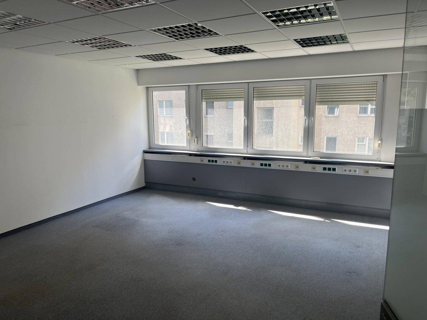 Leeres Büro mit Teppichboden, großen Fenstern und einer abgehängten Decke mit Rasterleuchten.