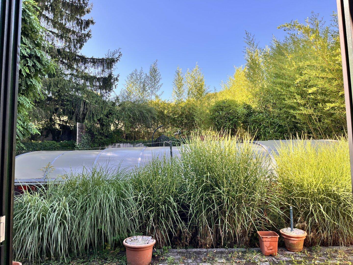 Blick aus dem Haus in den grünen Garten mit Poolabdeckung und Pflanzen.
