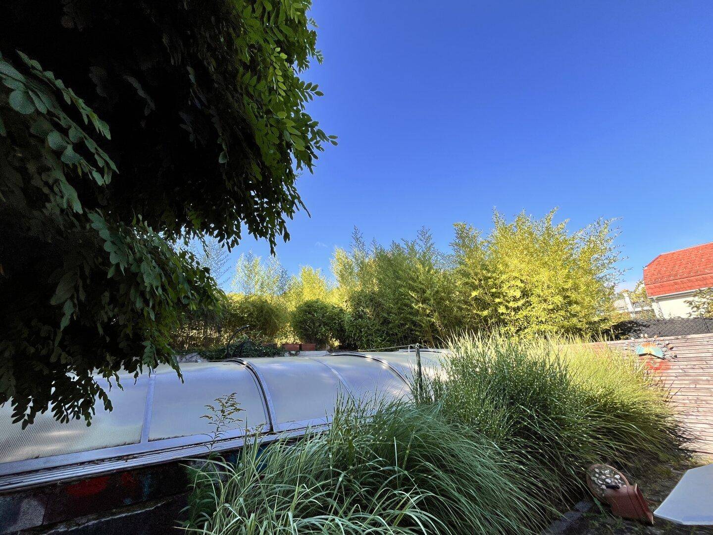 Gartenansicht mit Poolabdeckung, üppigem Grün und blauem Himmel.