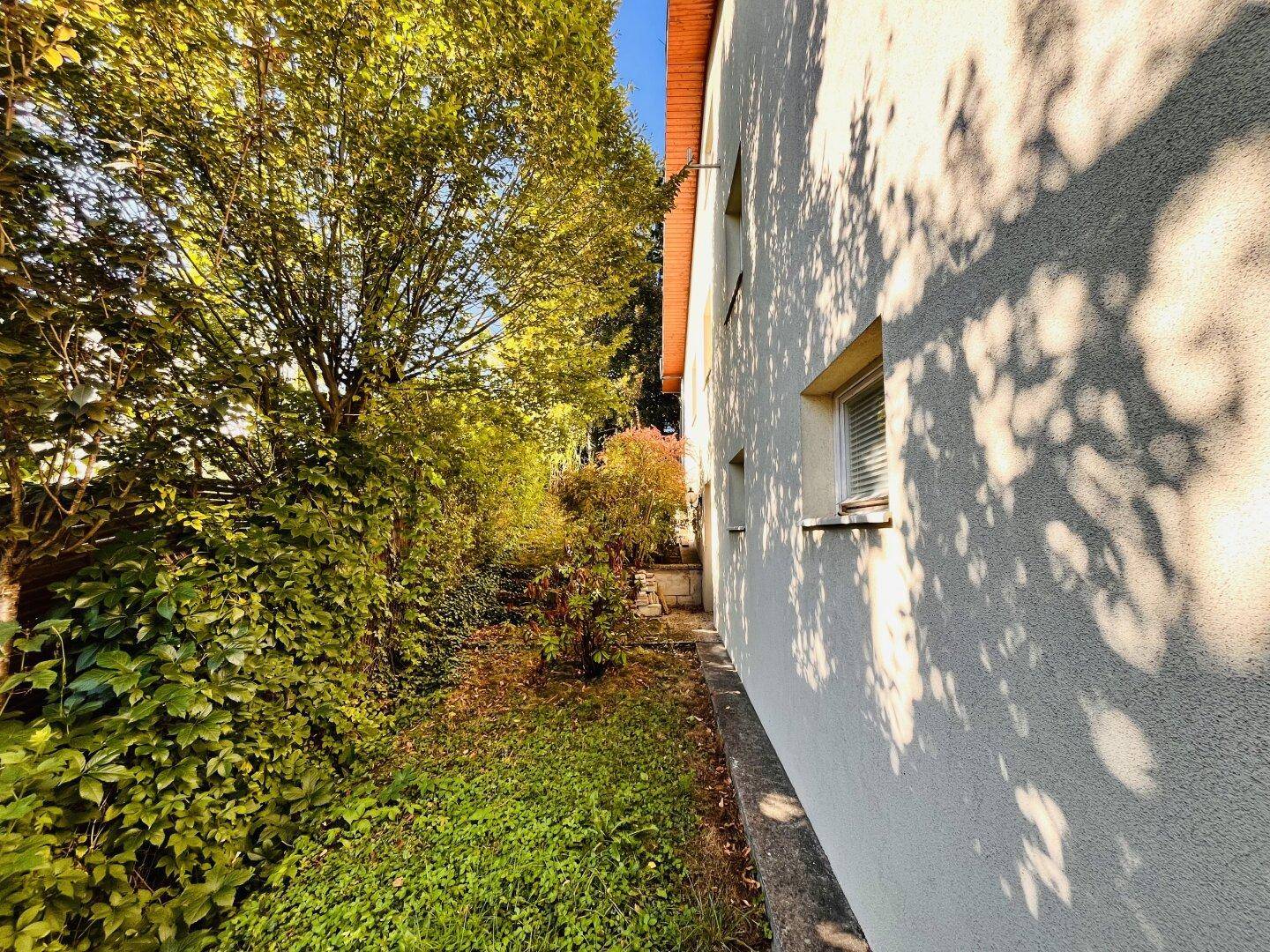 Seitlicher Gartenbereich des Hauses mit üppiger Vegetation und viel Grün.