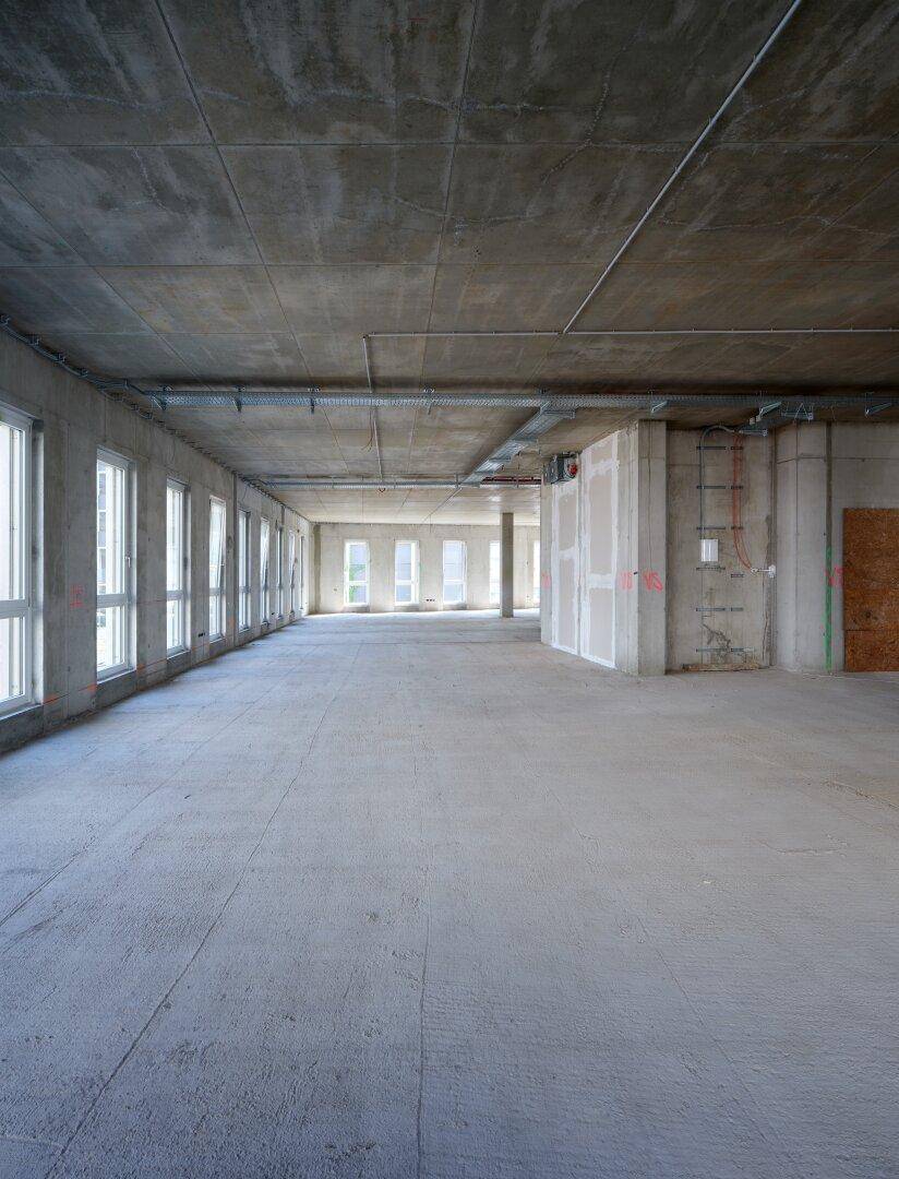 Rohbau