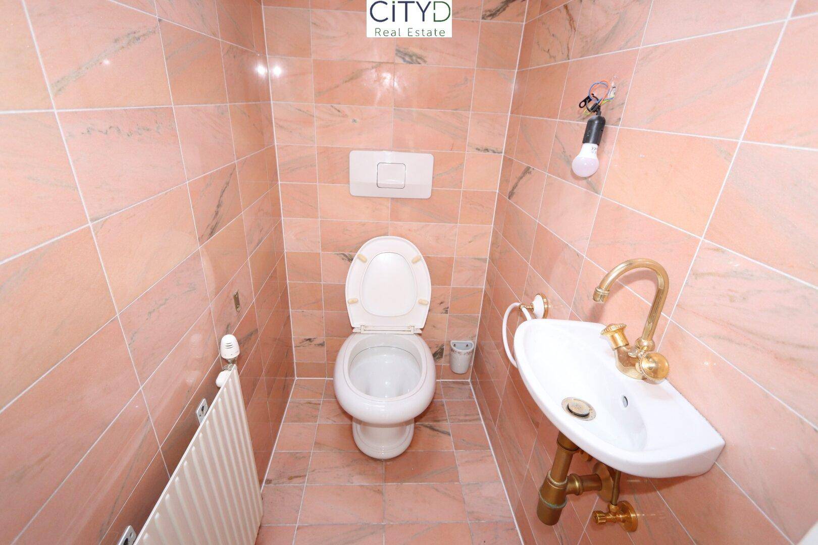 Kleines Gäste-WC mit rosa Fliesen, wandmontierter Toilette und kleinem Waschbecken.