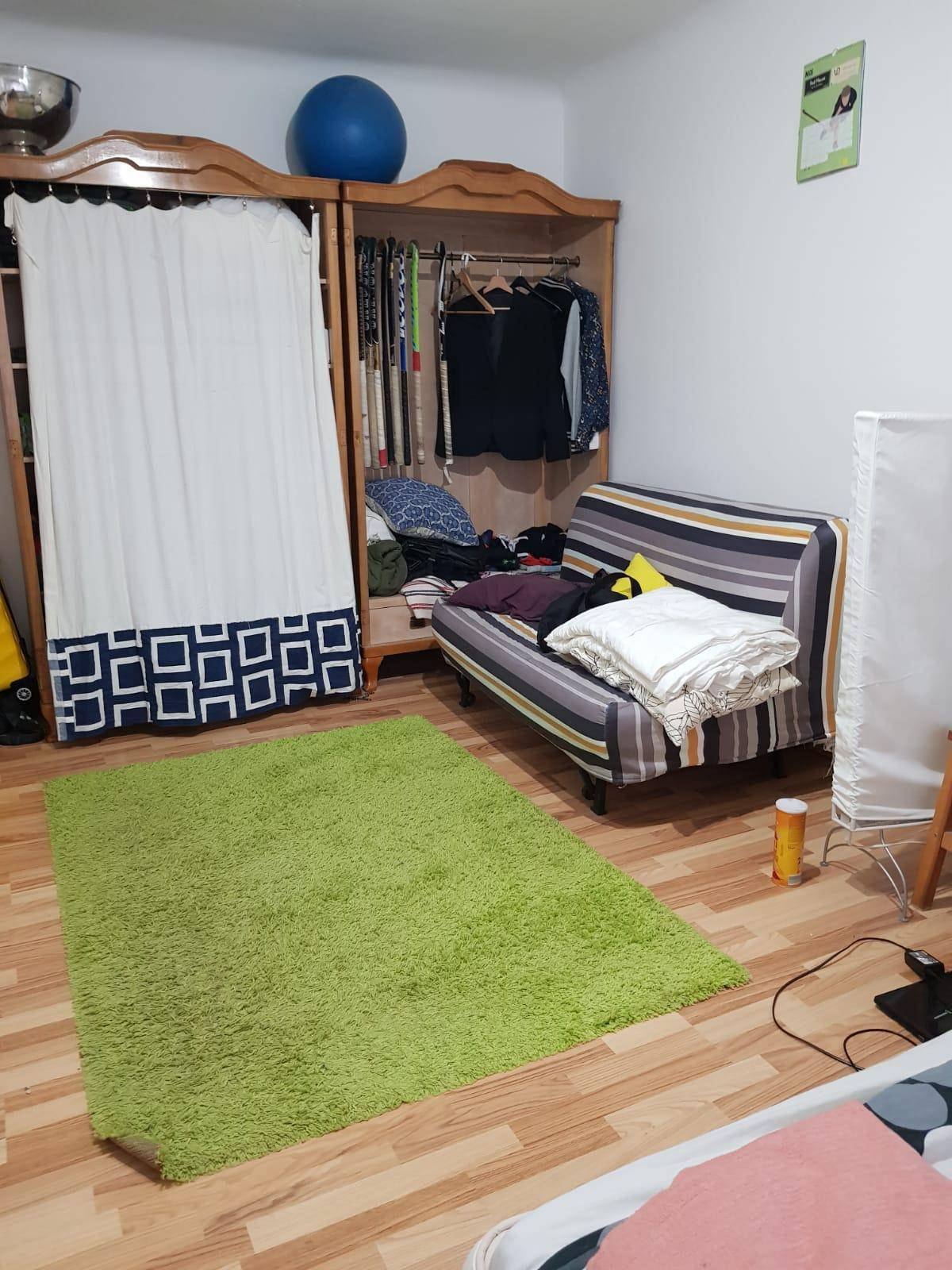 Schlafzimmer mit Kleiderschrank, kleinem Sofa und grünem Teppich auf Holzboden.
