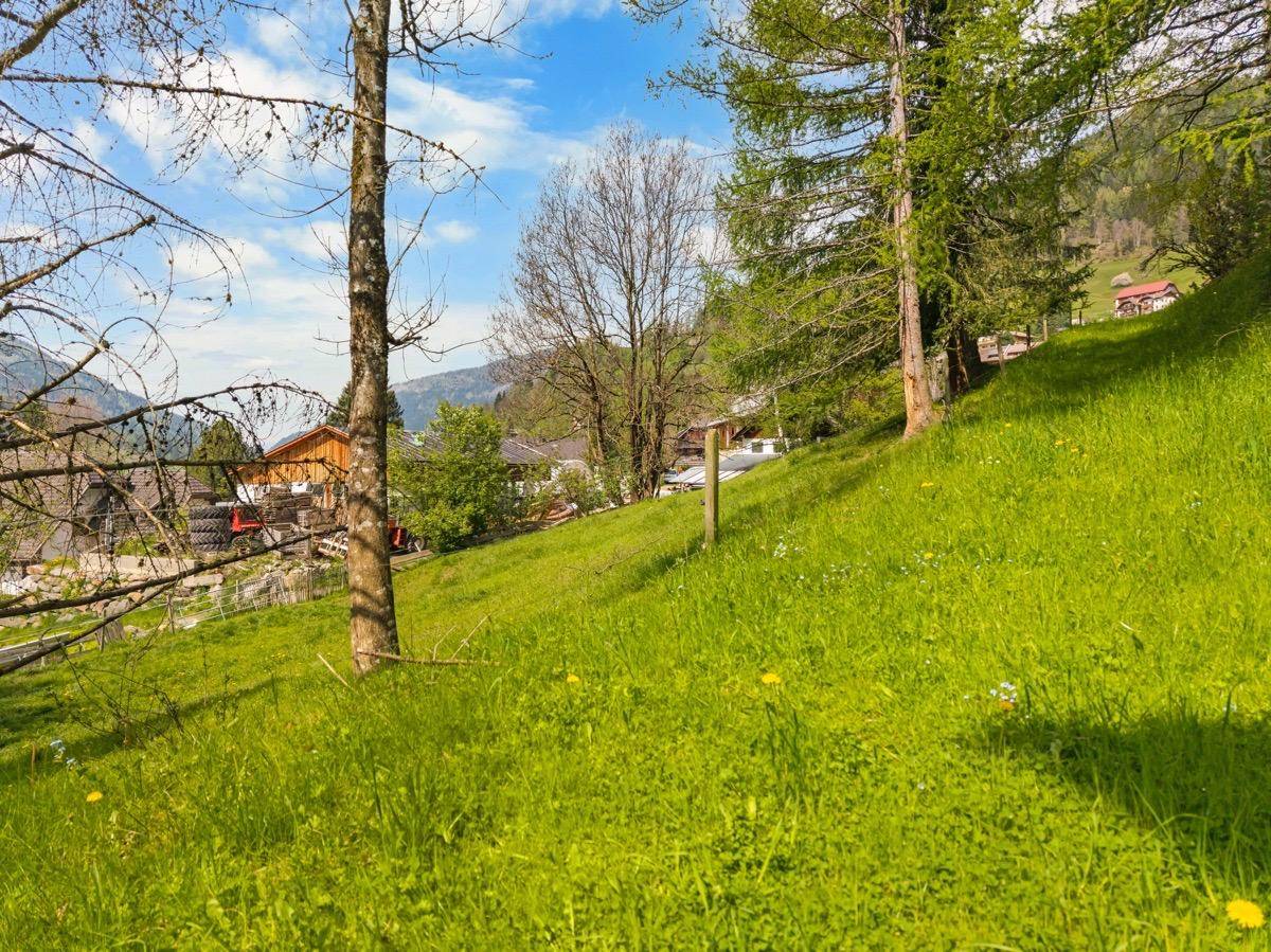 Weitläufiger grüner Hang mit Bäumen und Panoramablick auf die umliegende Berglandschaft und Häuser.