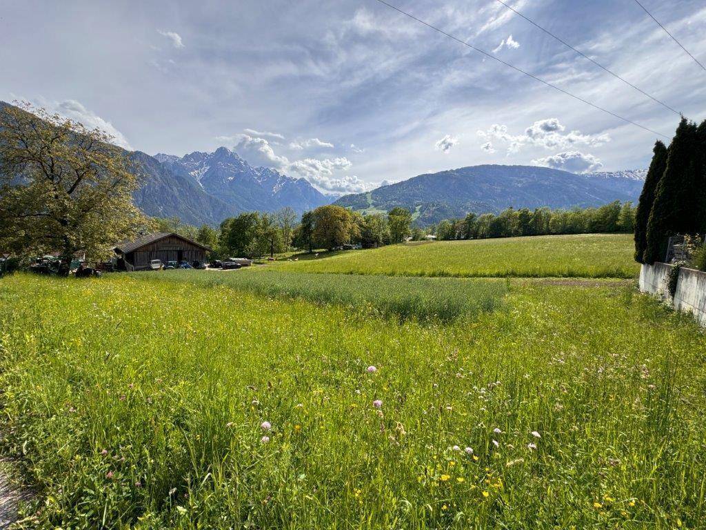 Aussicht nach Westen - landwirtschaftliche Flächen