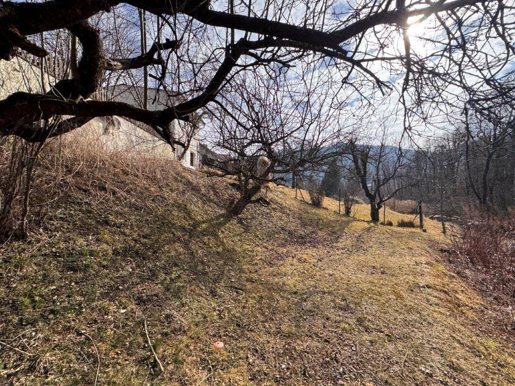 Unterer Bereich Garten